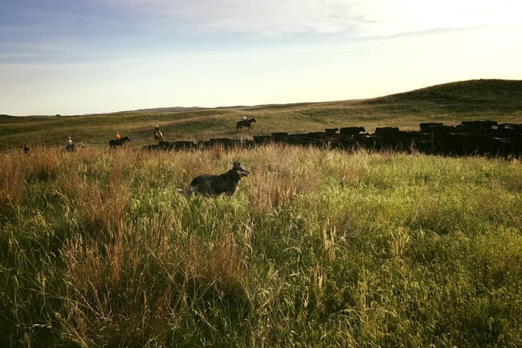 AL Ranch property picture 28 of 98