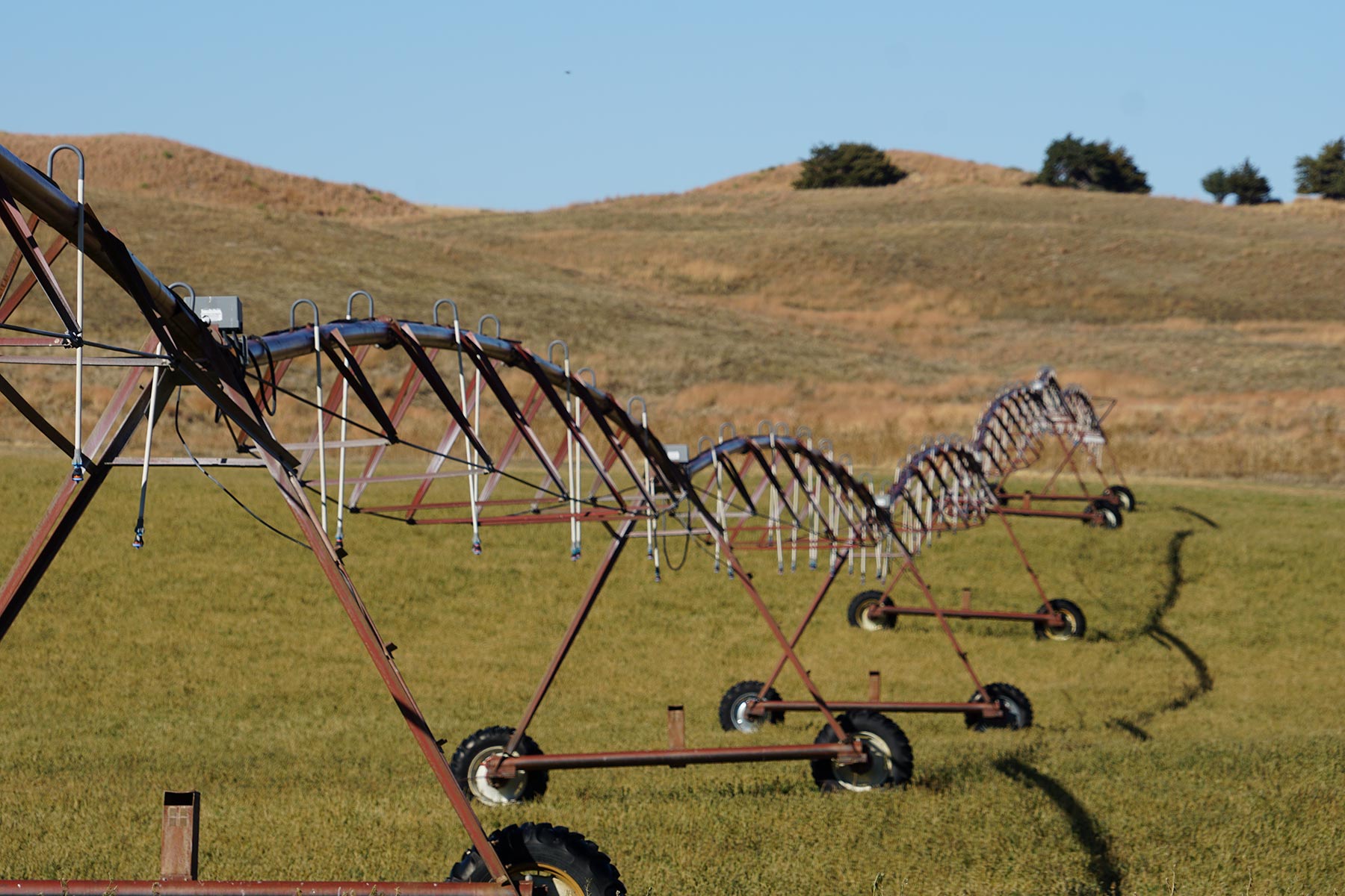 AL Ranch property picture 8 of 98