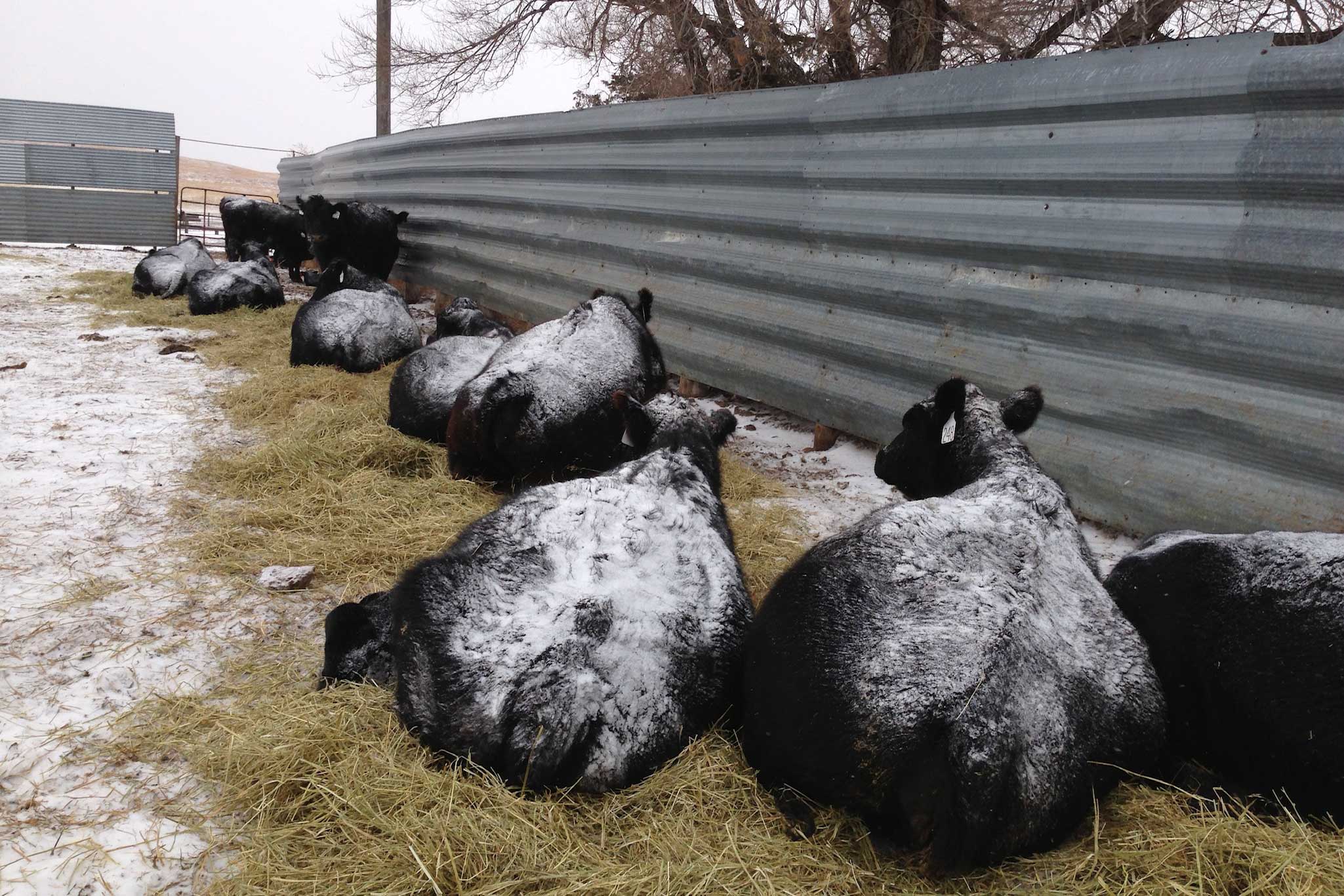 AL Ranch property picture 73 of 98