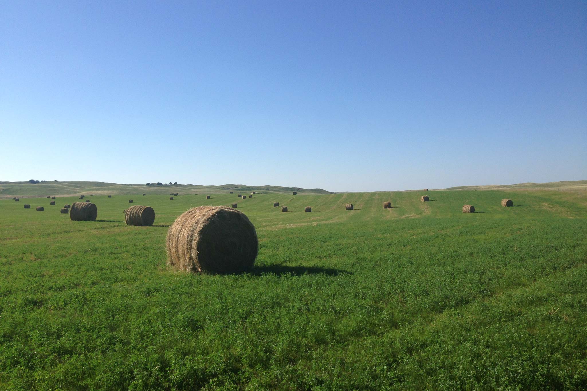 AL Ranch property picture 12 of 98