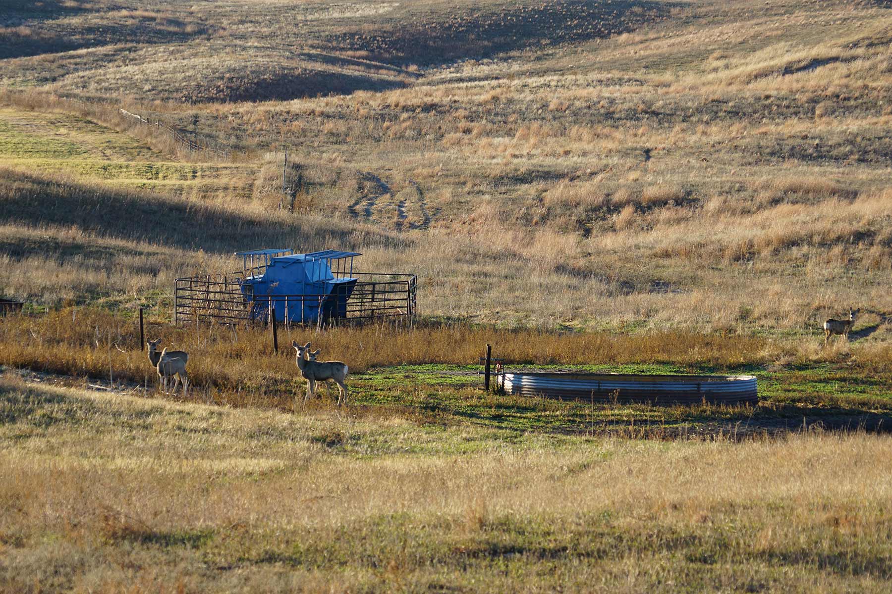 AL Ranch property picture 57 of 98