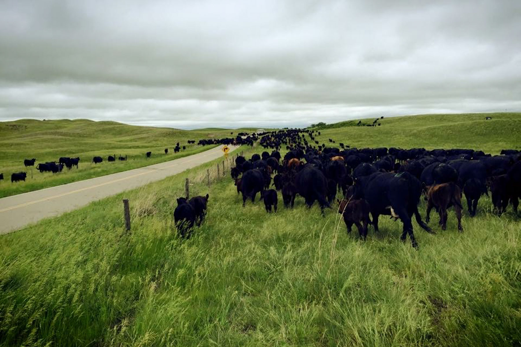 AL Ranch property picture 97 of 98