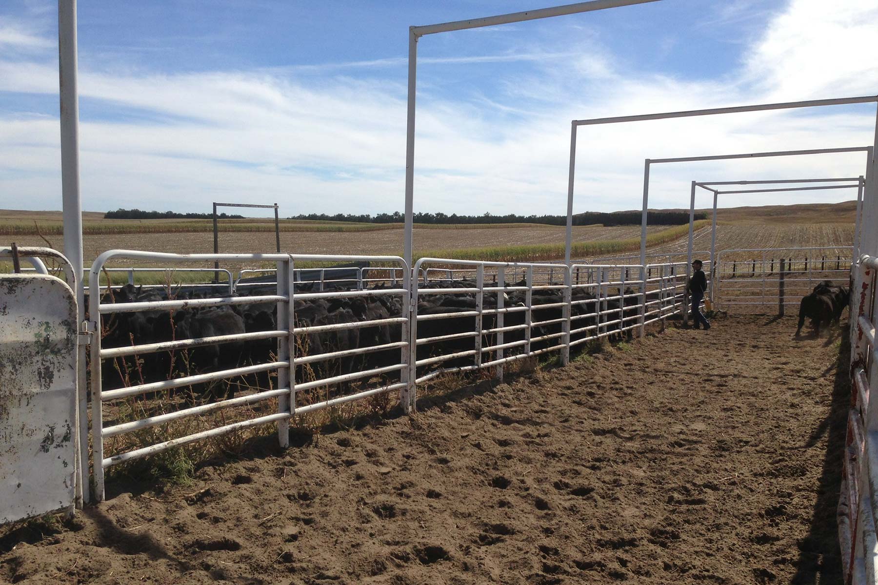 AL Ranch property picture 85 of 98