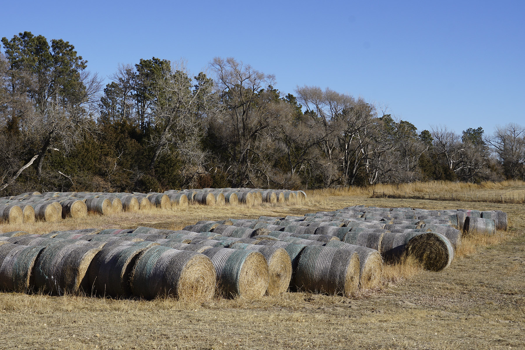 Philpot Ranch property picture 28 of 53