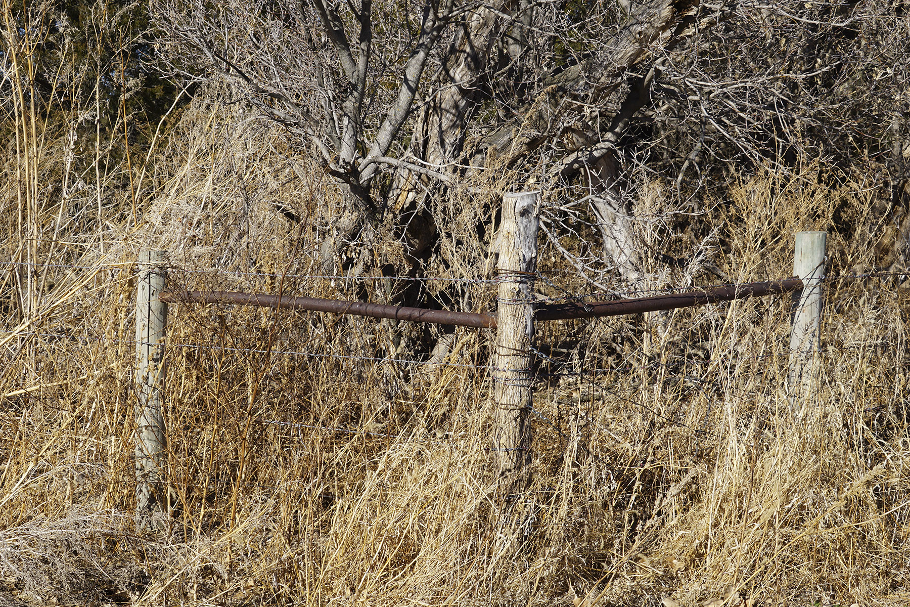 Philpot Ranch property picture 27 of 53