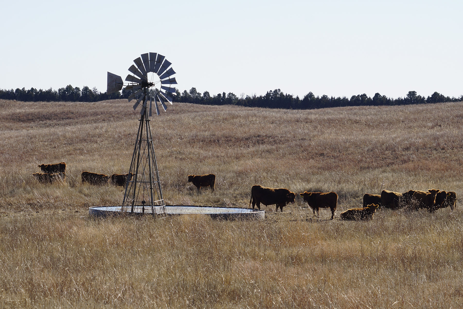 Philpot Ranch property picture 37 of 53