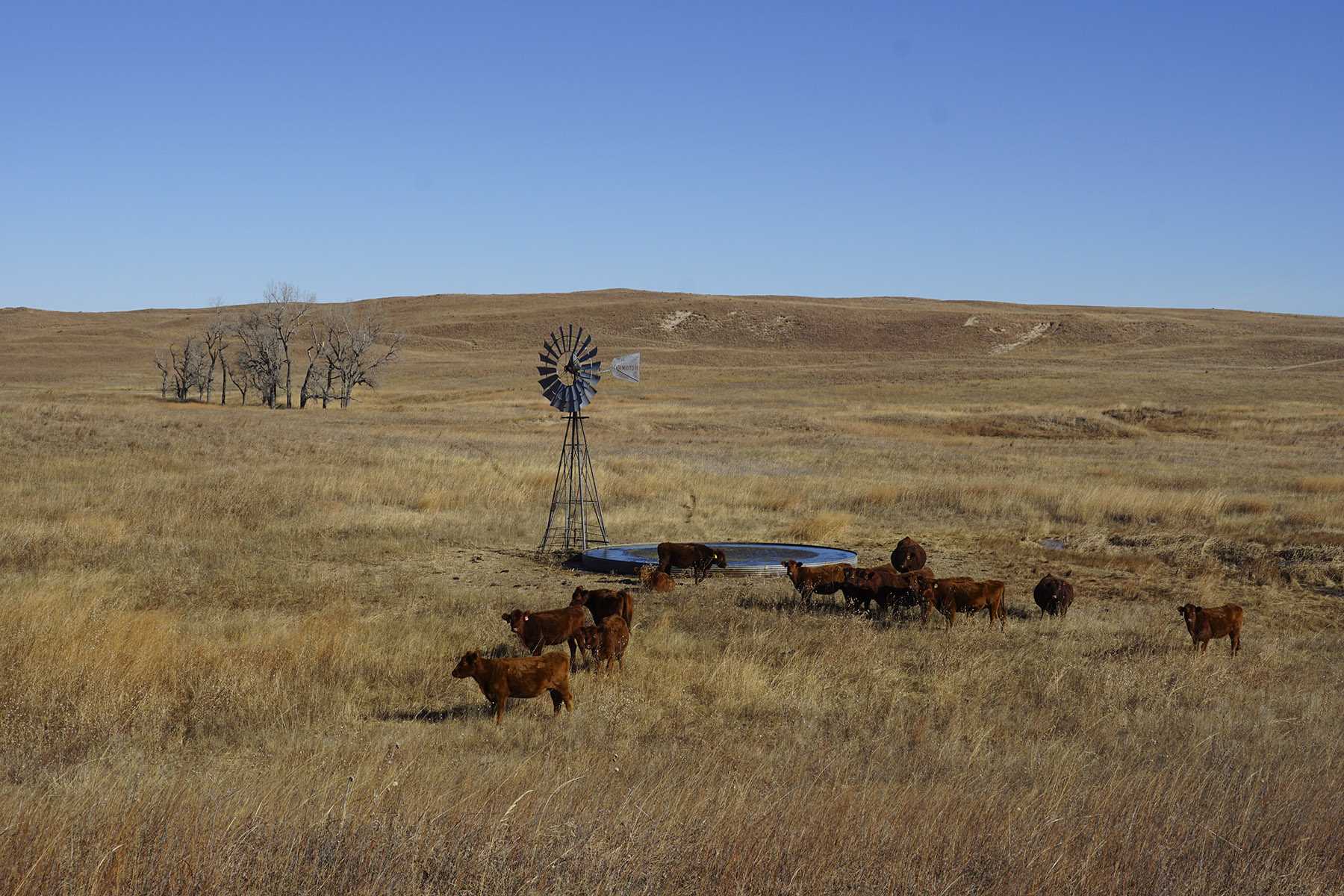 Philpot Ranch property picture 6 of 53