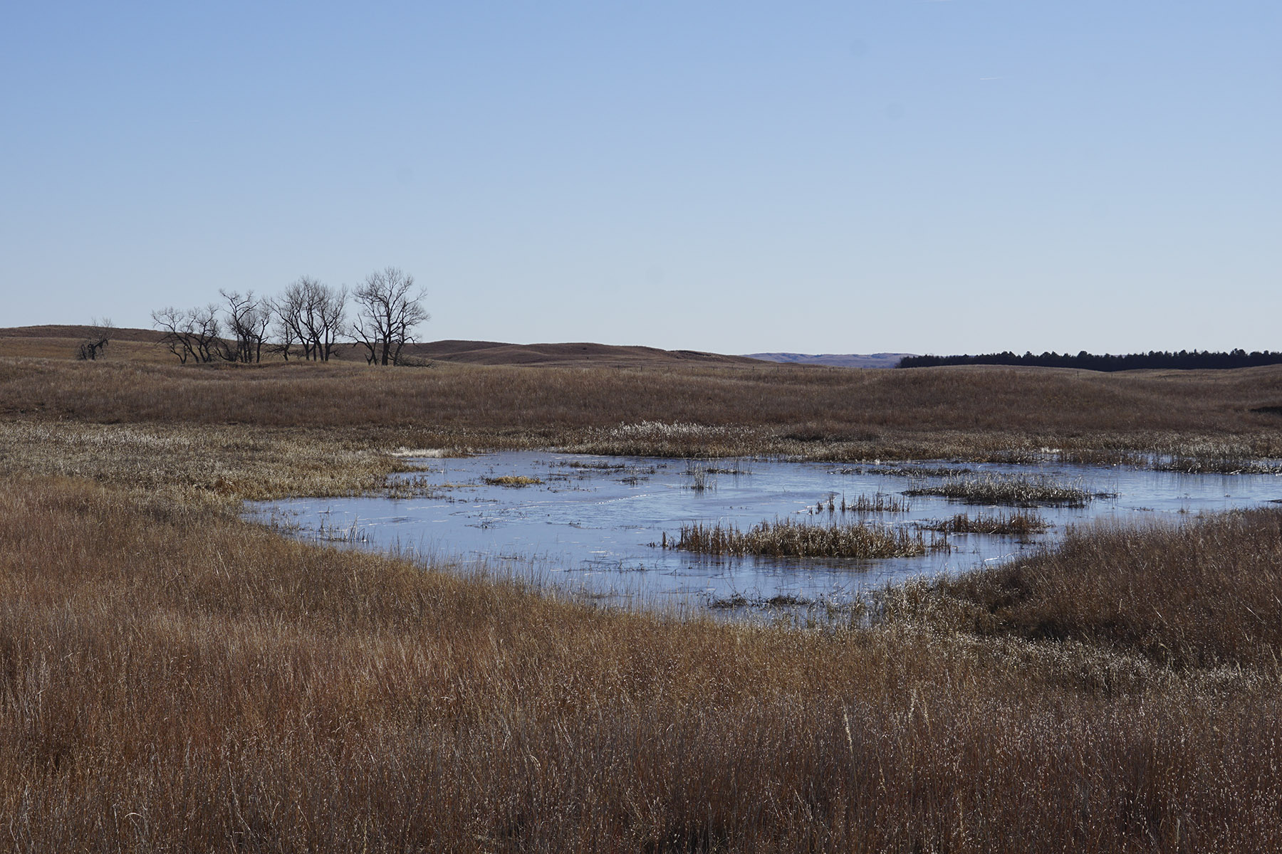 Philpot Ranch property picture 35 of 53