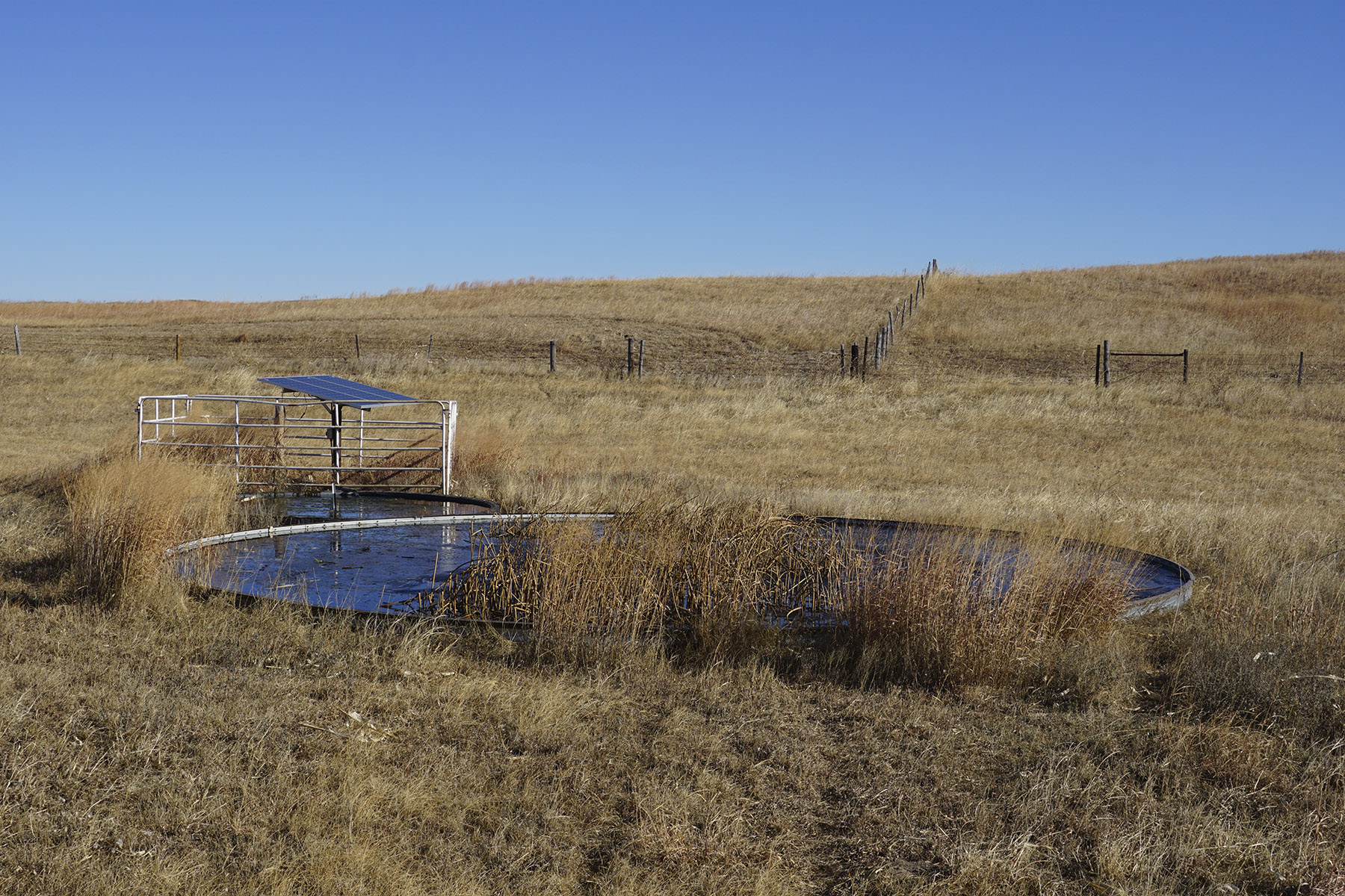 Philpot Ranch property picture 49 of 53