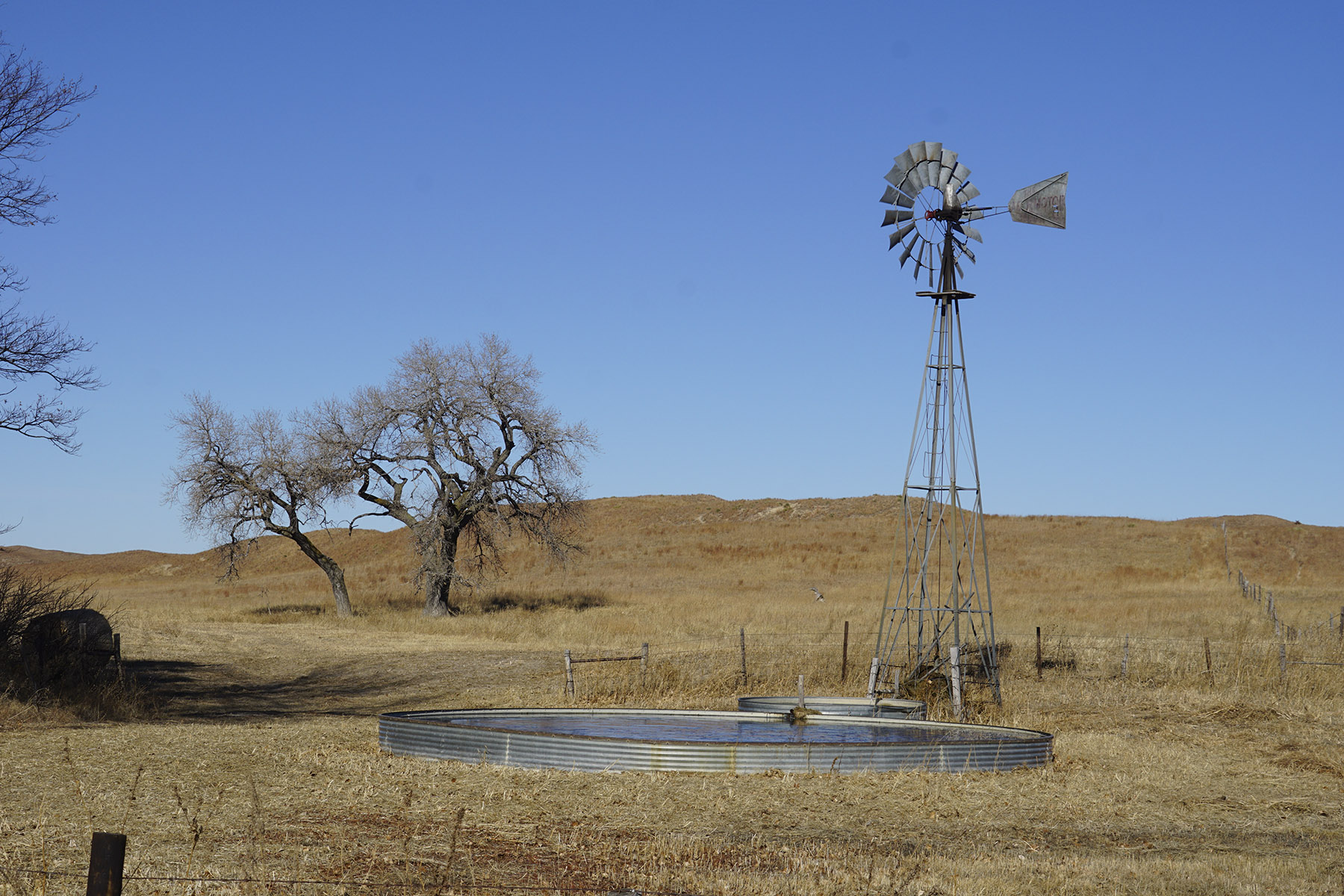 Philpot Ranch property picture 32 of 53