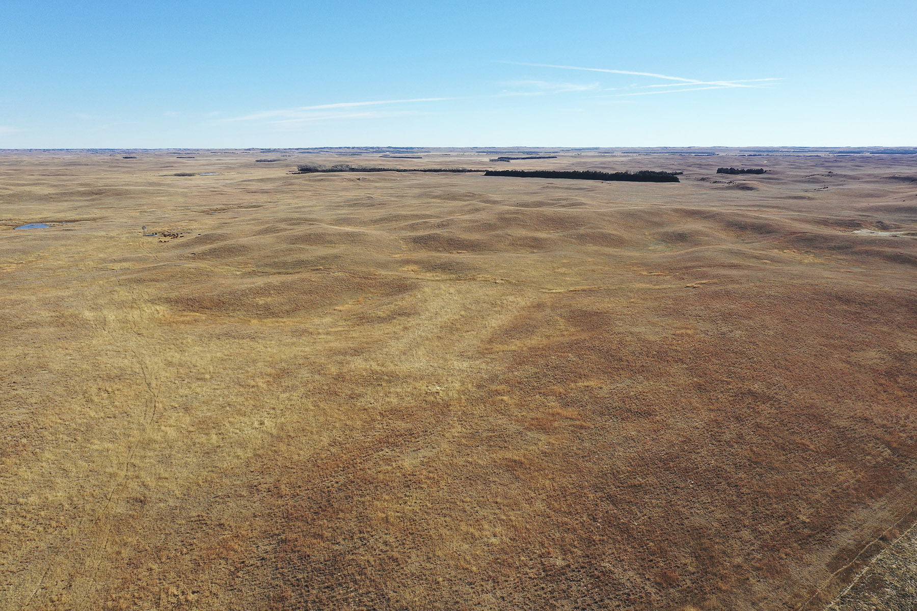 Philpot Ranch property picture 19 of 53