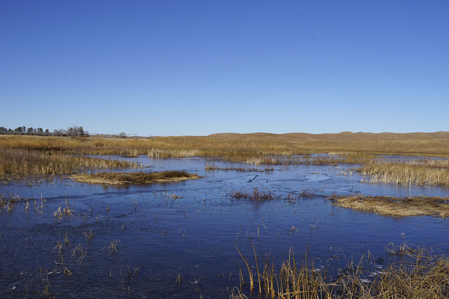 Philpot Ranch property picture 36 of 53