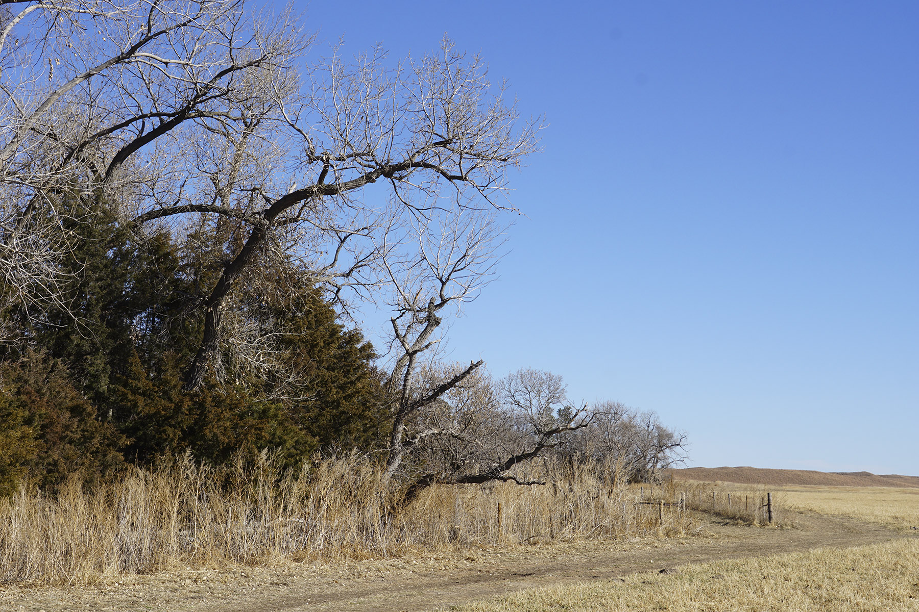 Philpot Ranch property picture 26 of 53