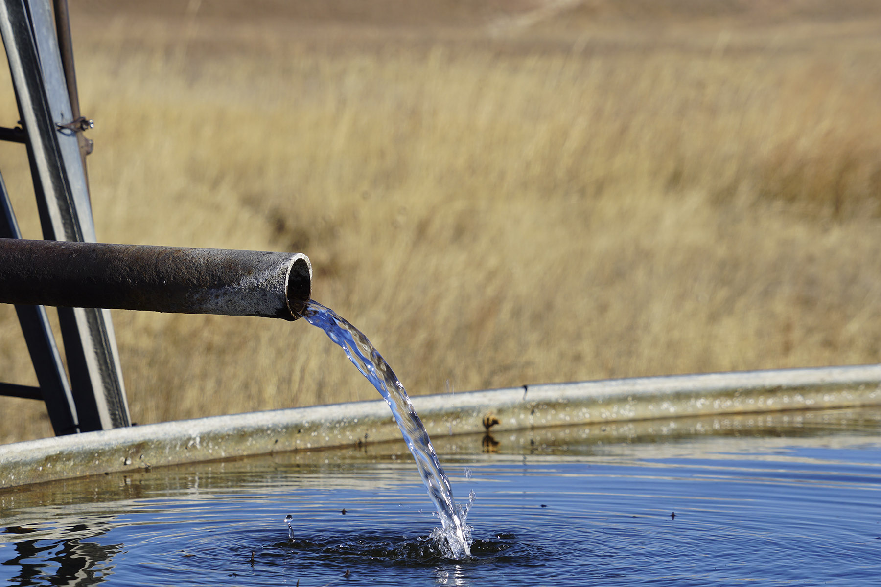 Philpot Ranch property picture 39 of 53
