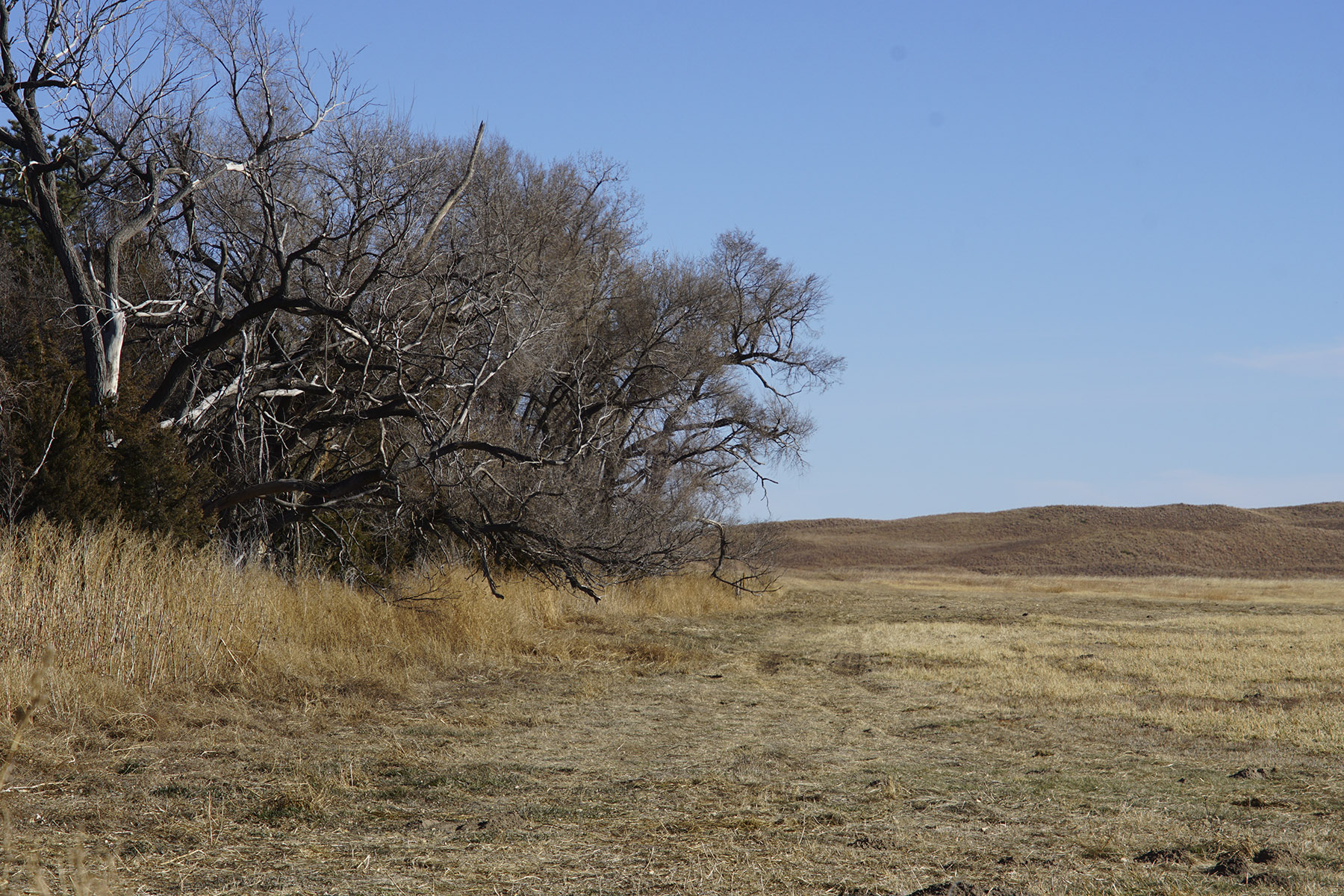 Philpot Ranch property picture 29 of 53