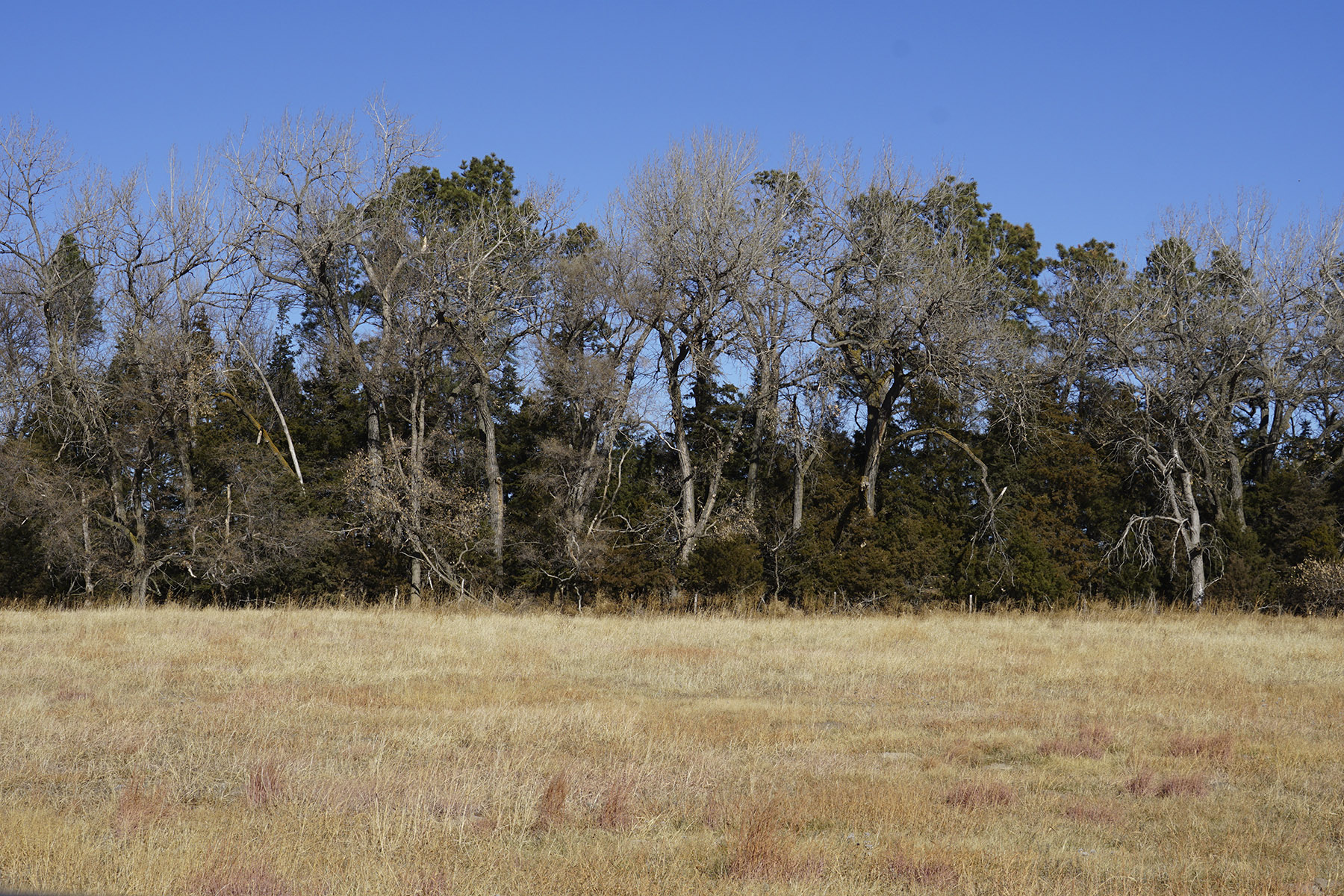 Philpot Ranch property picture 5 of 53