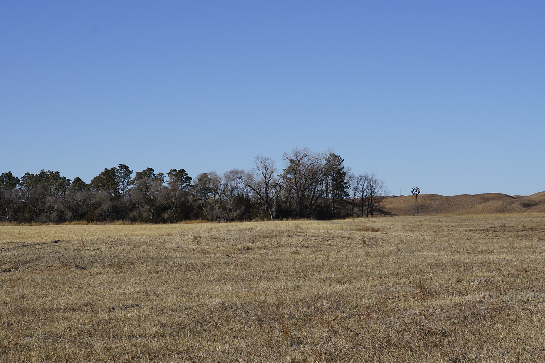 Philpot Ranch property picture 52 of 53
