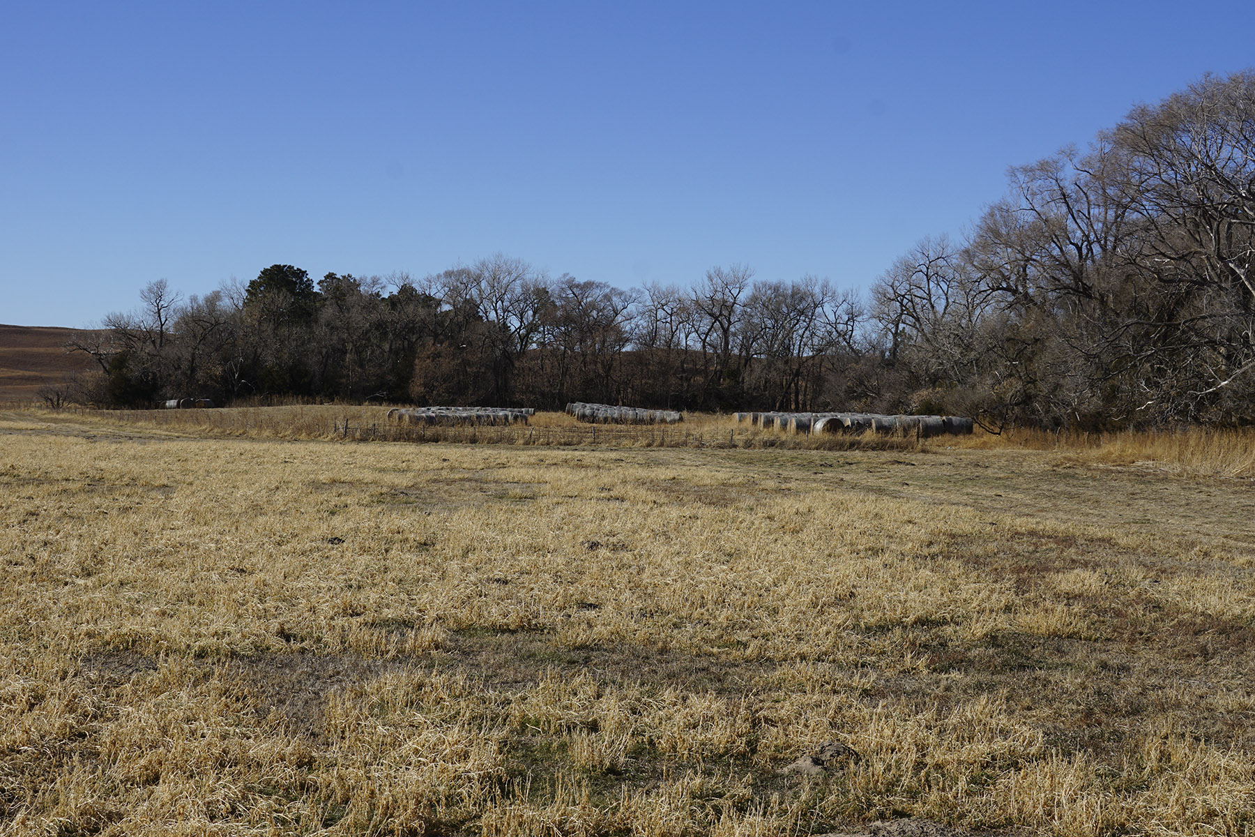 Philpot Ranch property picture 31 of 53