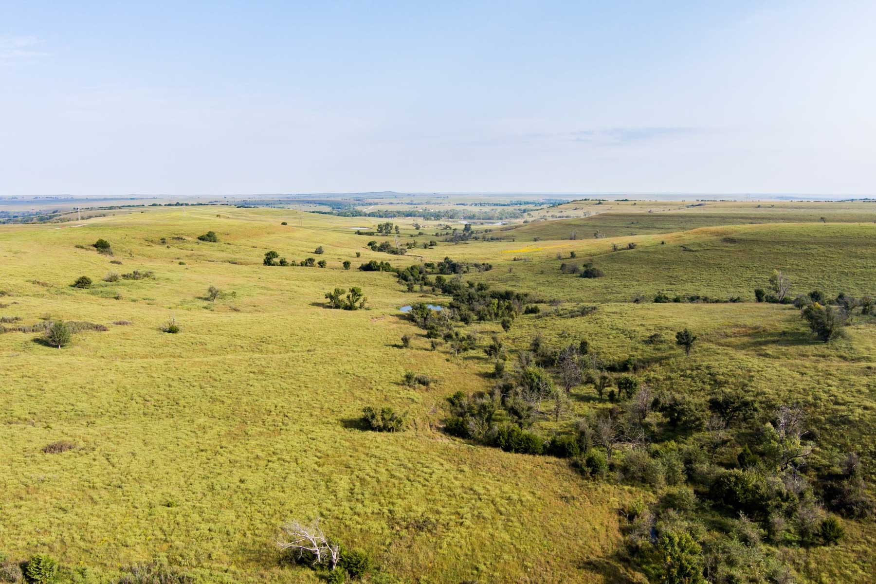 Spring Creek Ranch property picture 63 of 101