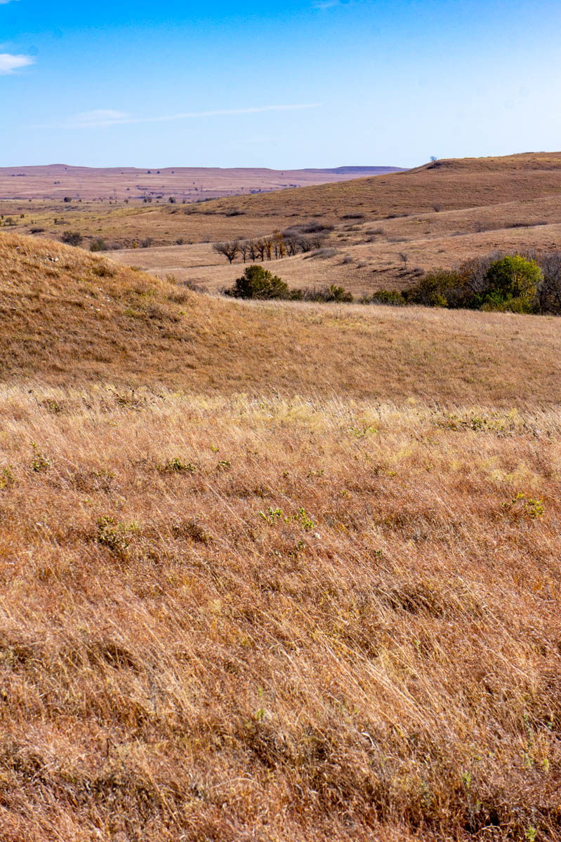 Spring Creek Ranch property picture 101 of 101