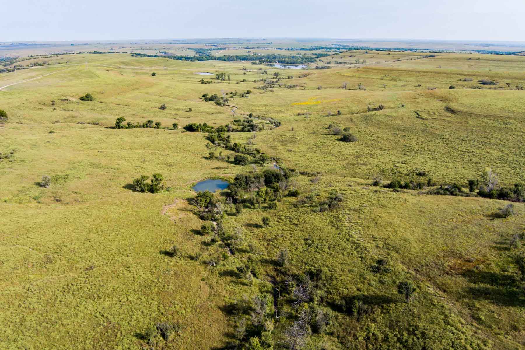 Spring Creek Ranch property picture 67 of 101