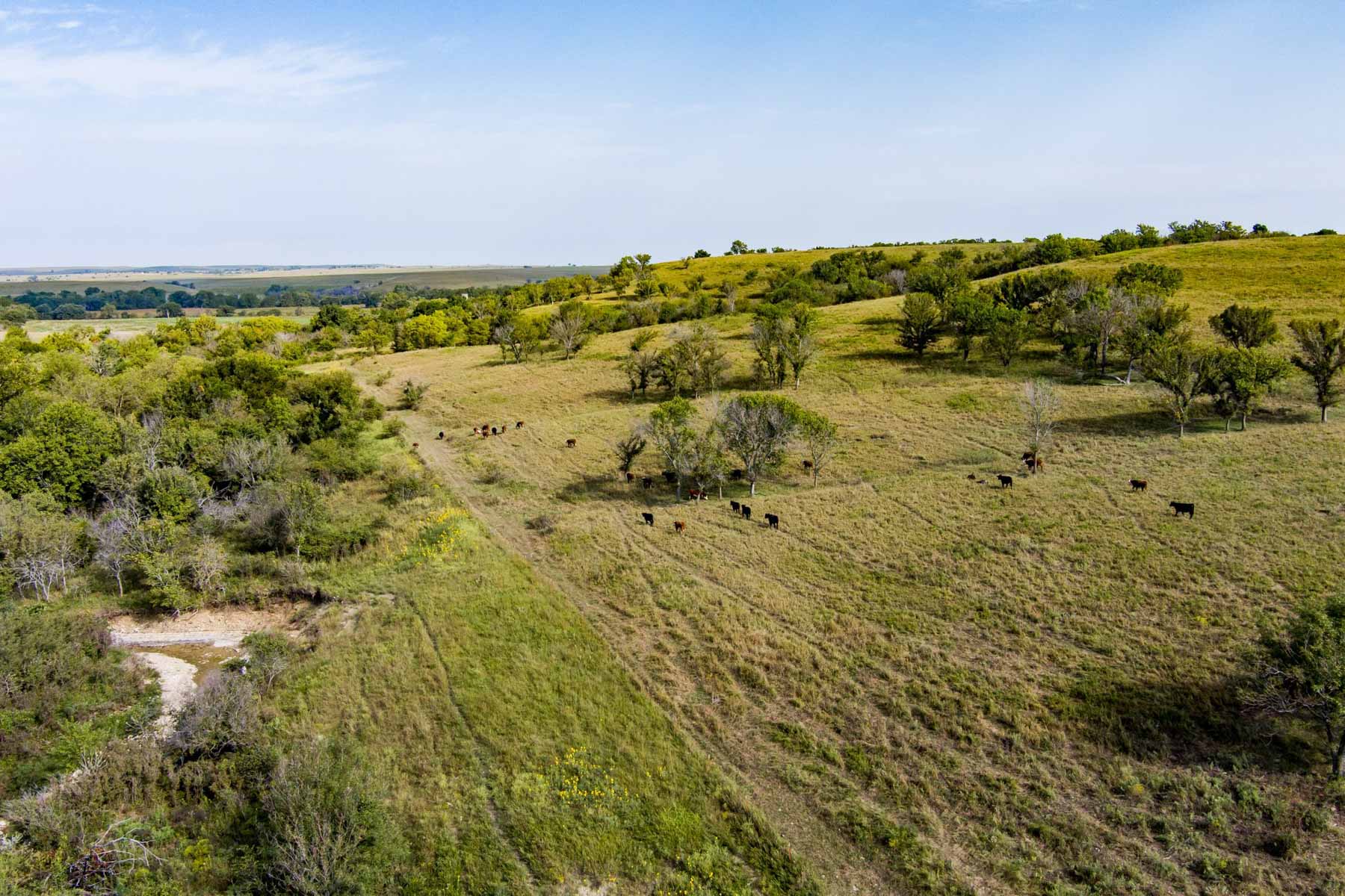 Spring Creek Ranch property picture 74 of 101