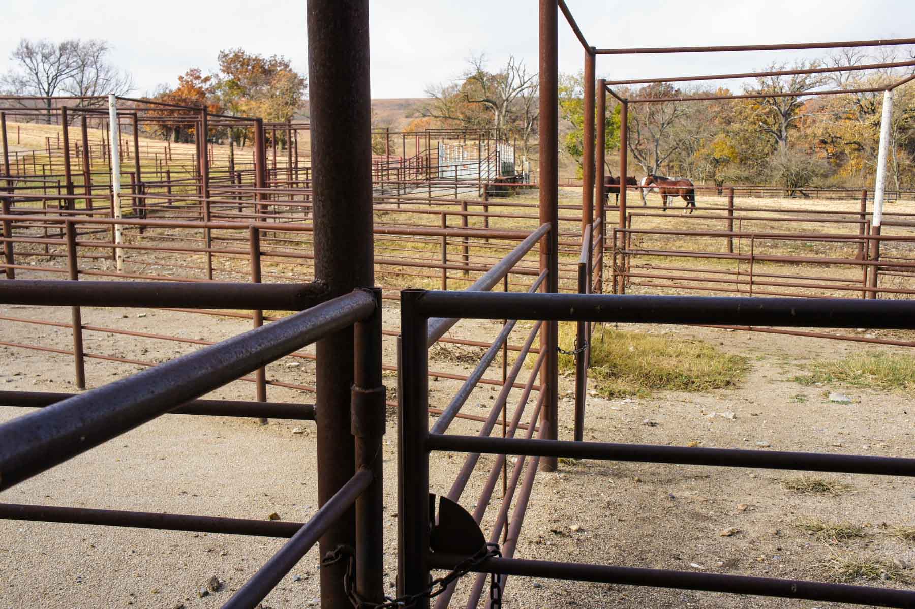 Spring Creek Ranch property picture 30 of 101