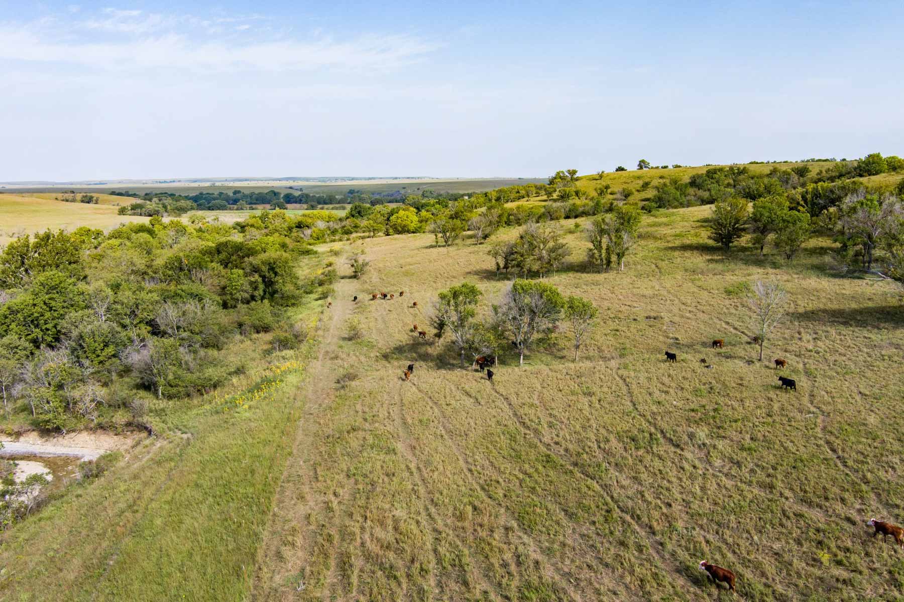 Spring Creek Ranch property picture 75 of 101