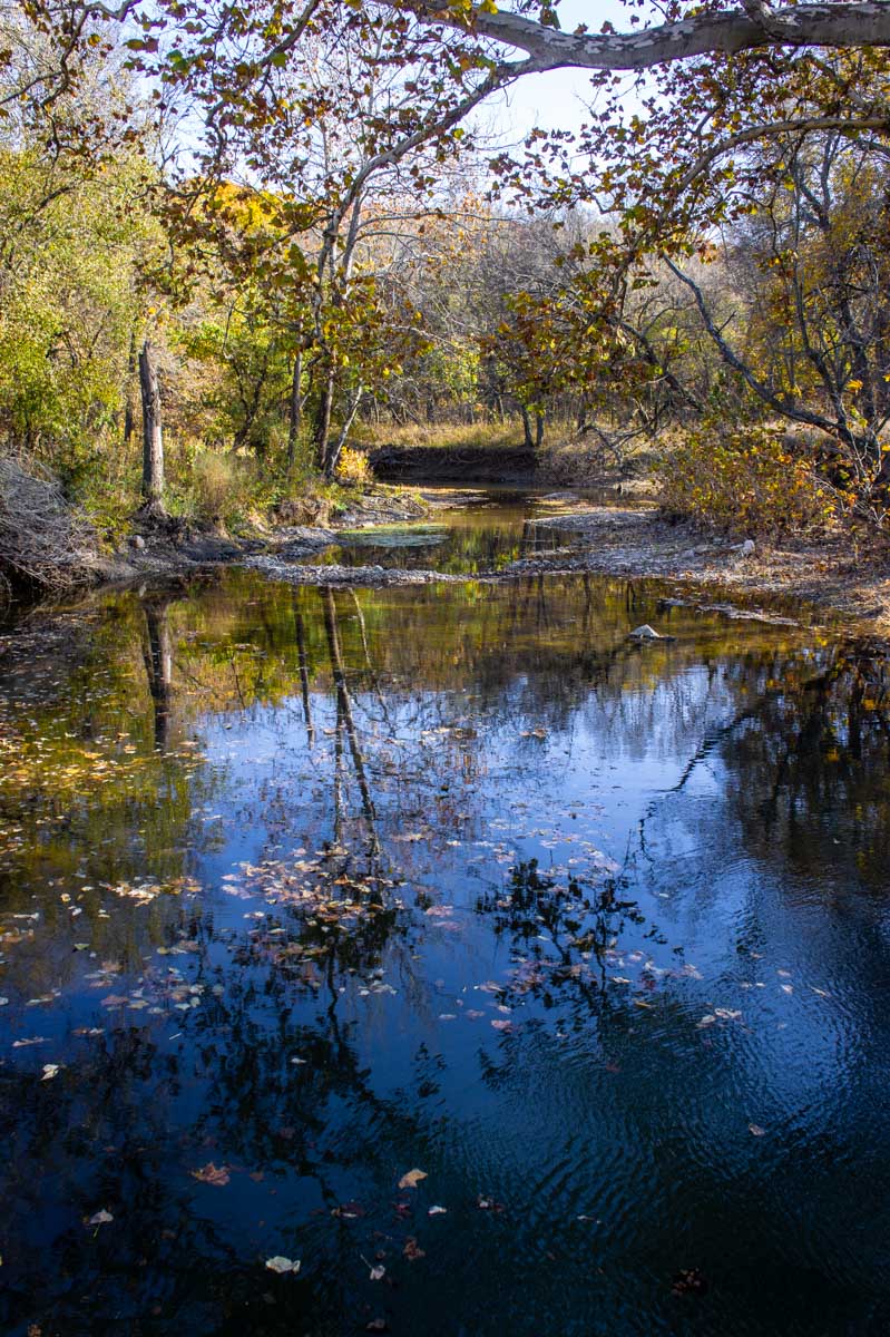 Spring Creek Ranch property picture 97 of 101
