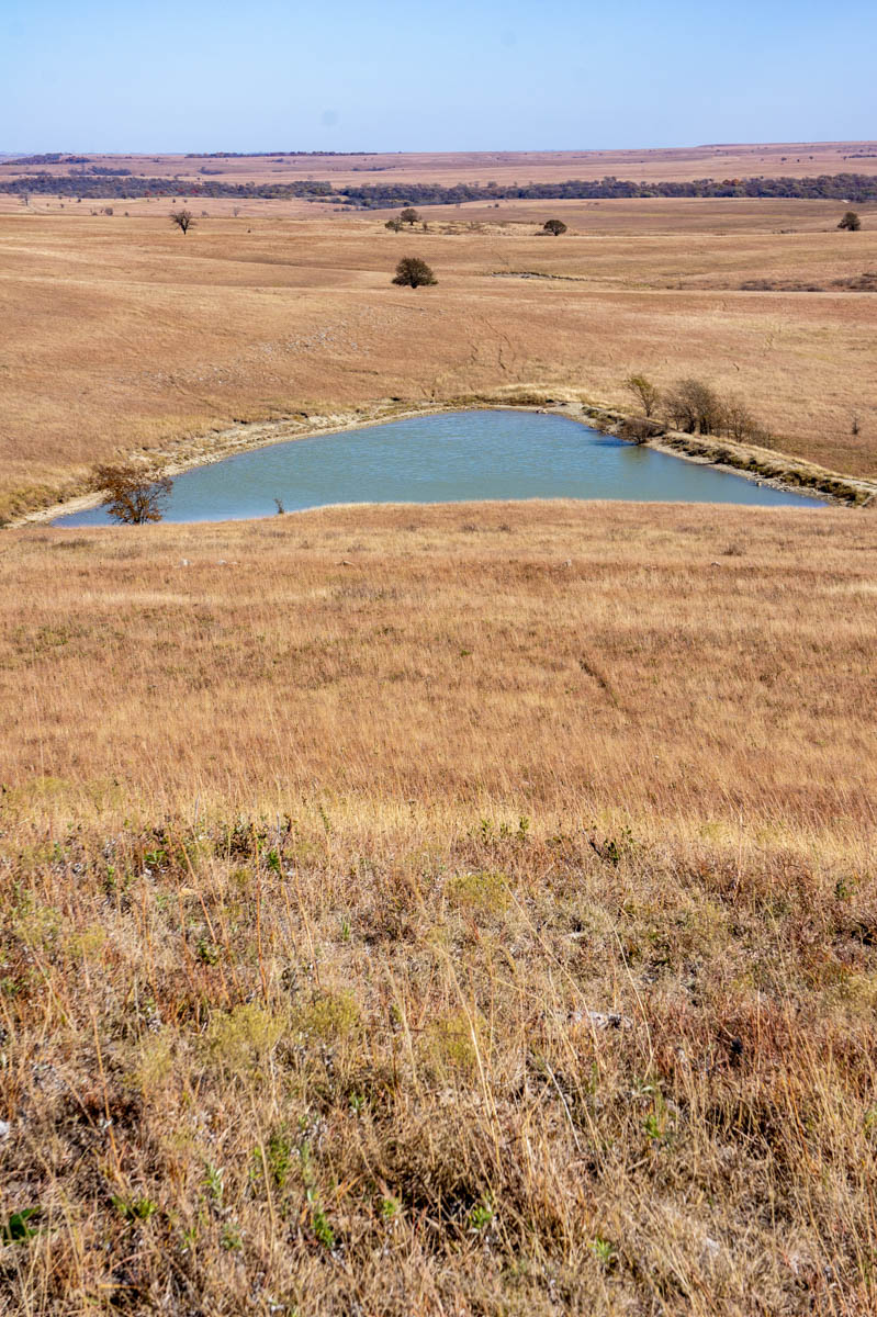 Spring Creek Ranch property picture 93 of 101