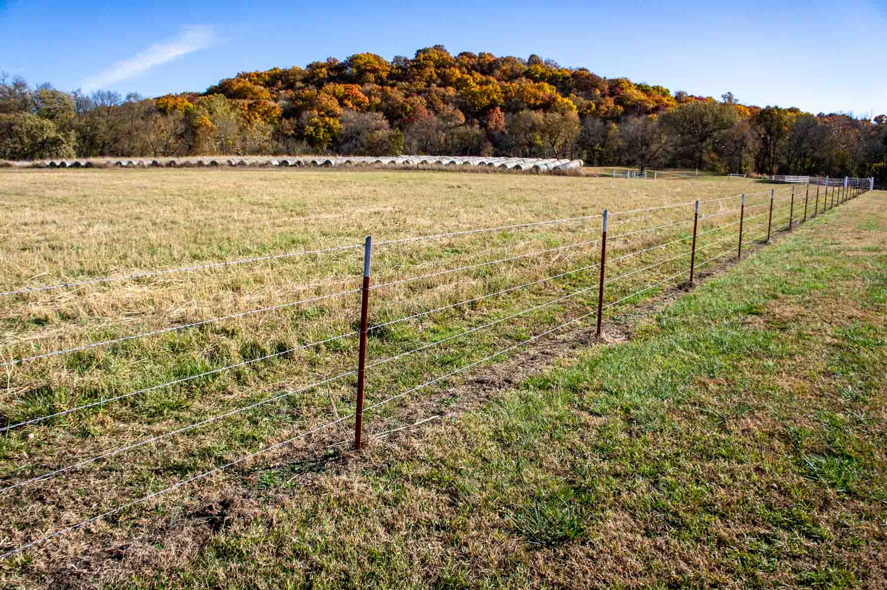Spring Creek Ranch property picture 98 of 101