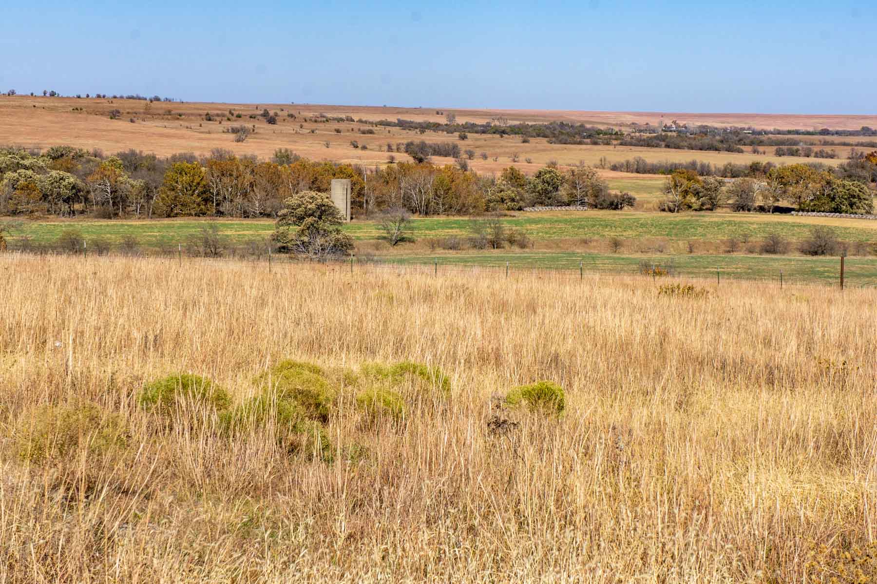 Spring Creek Ranch property picture 95 of 101