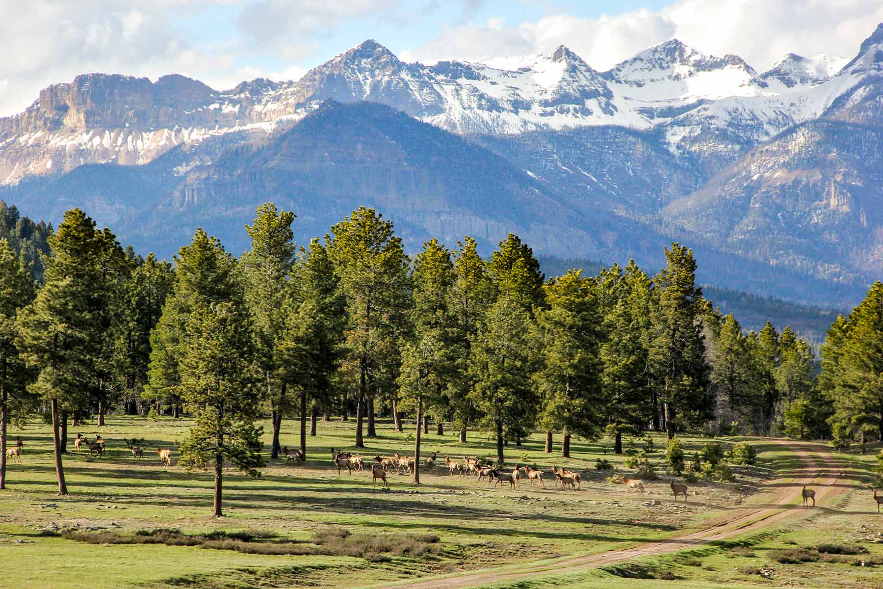 Piedra Valley Ranch property picture 2 of 59