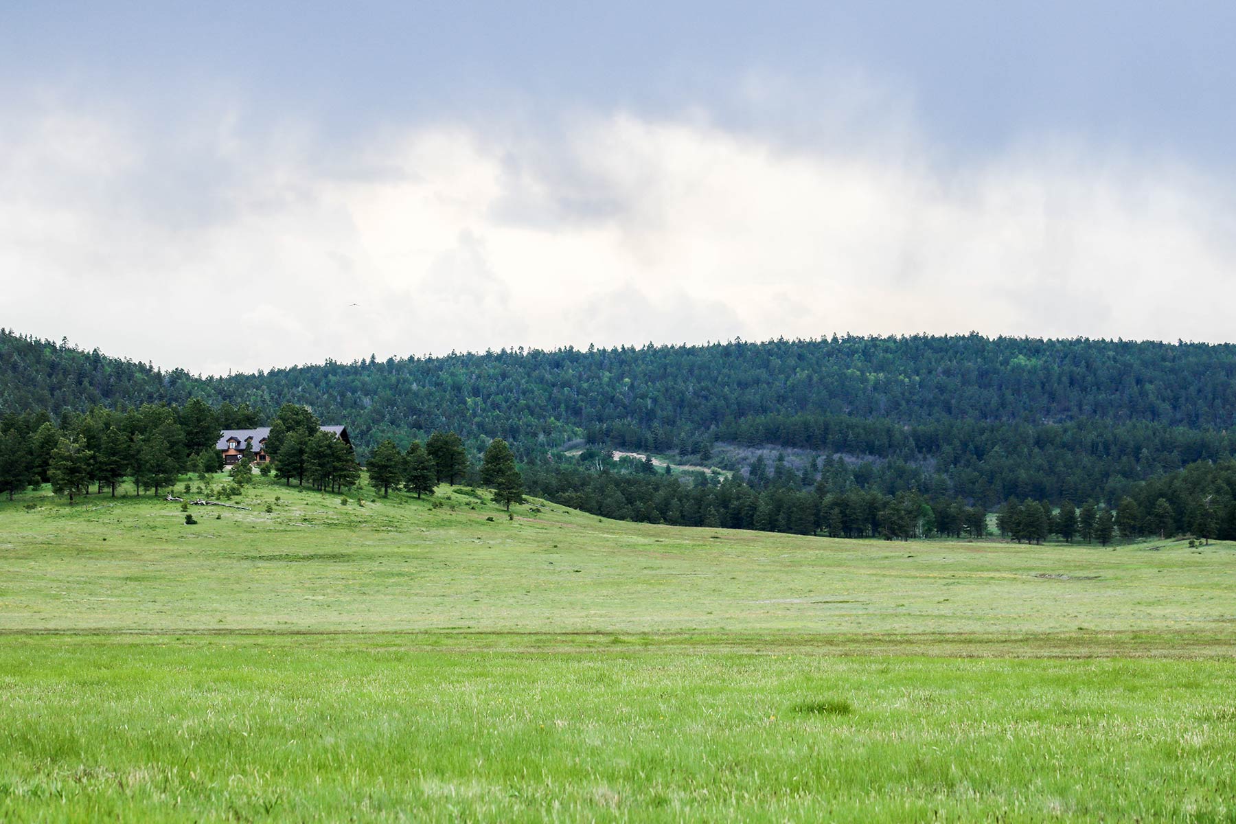 Piedra Valley Ranch property picture 27 of 59