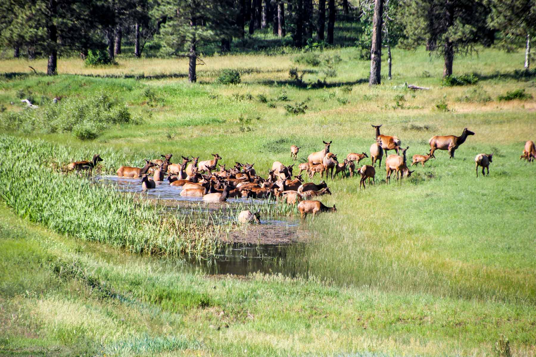 Piedra Valley Ranch property picture 17 of 59