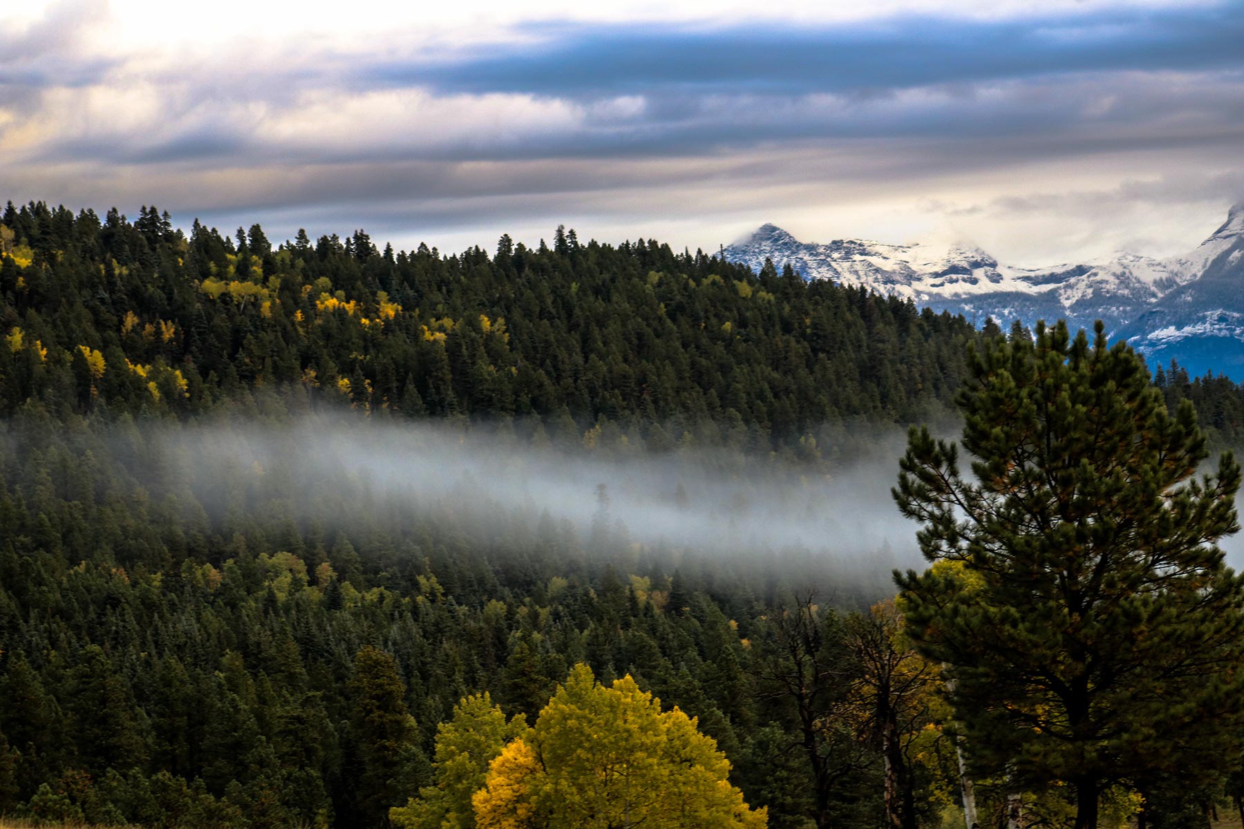 Piedra Valley Ranch property picture 48 of 59