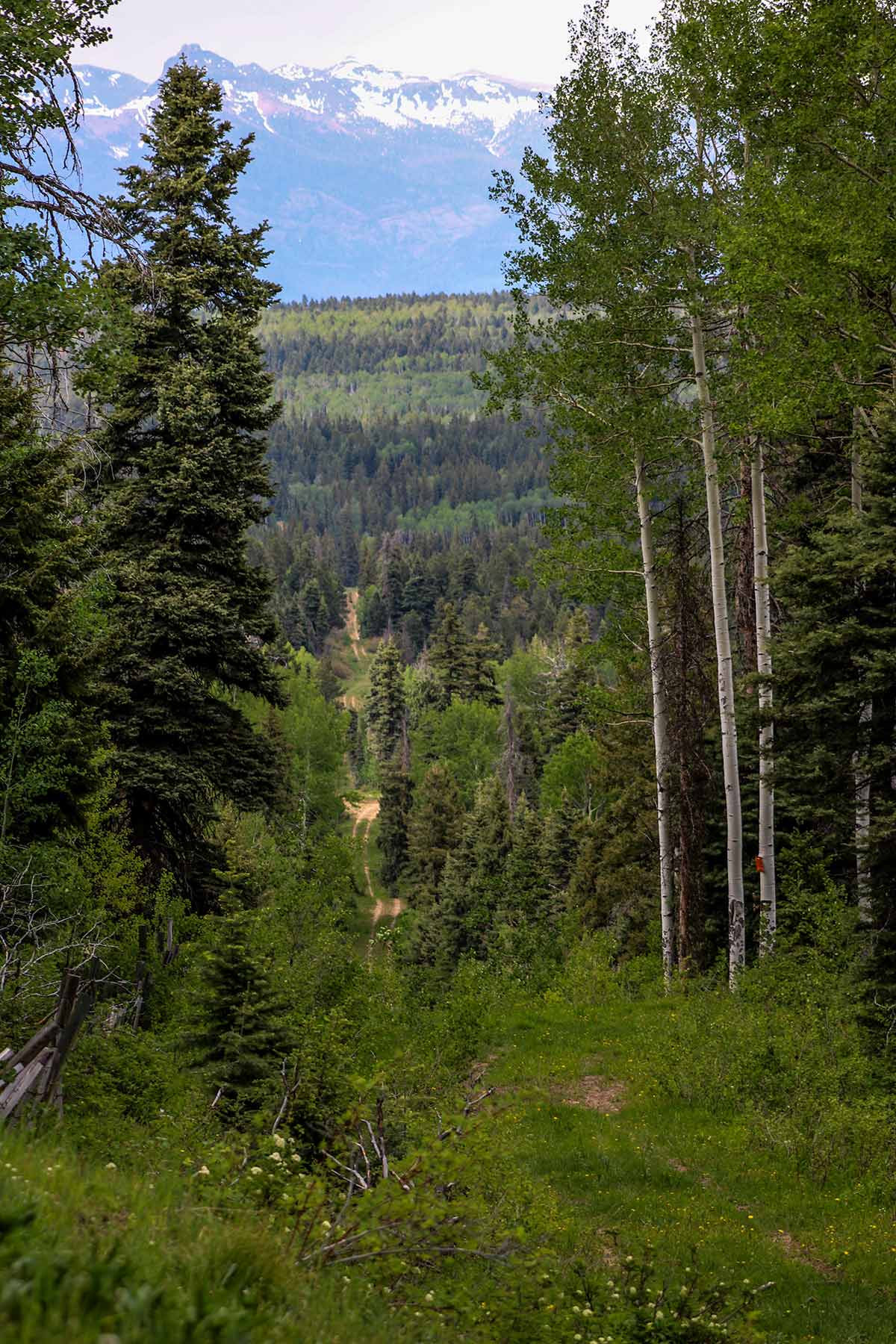 Piedra Valley Ranch property picture 28 of 59