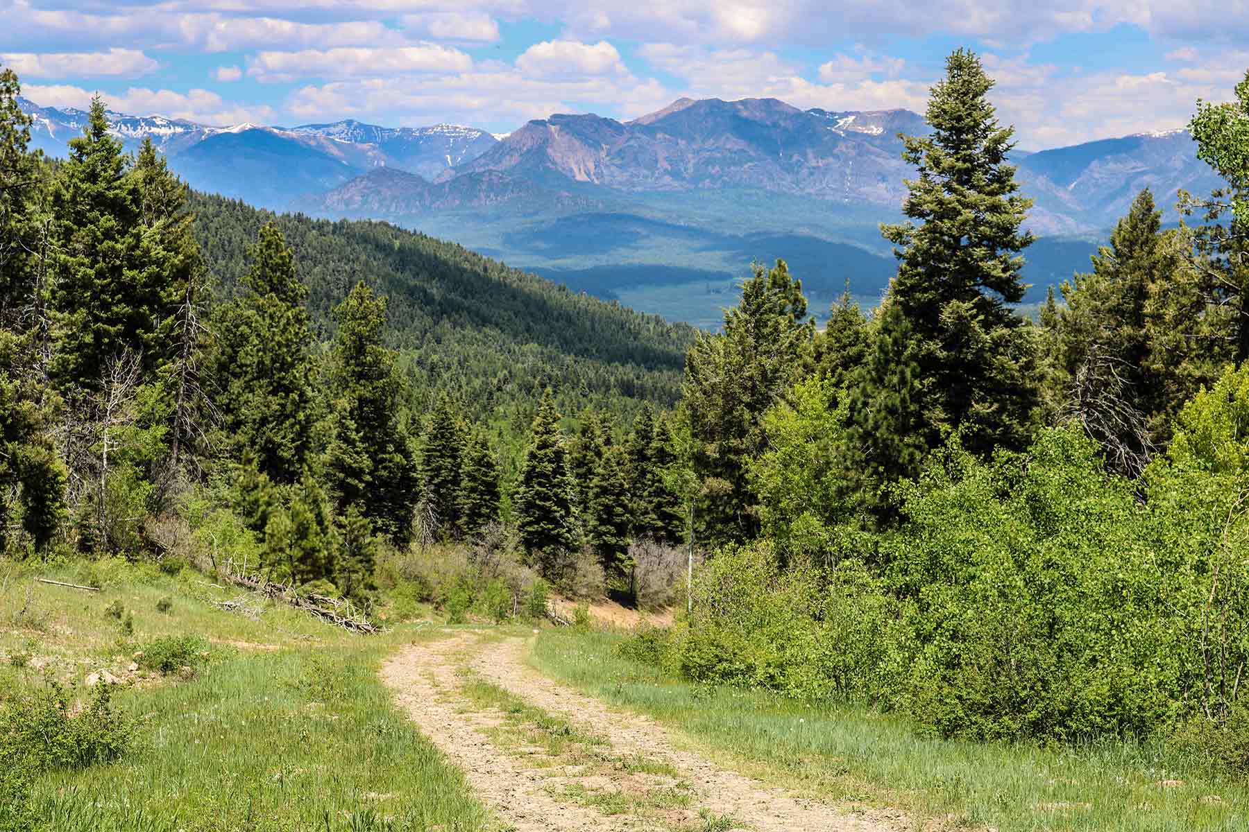 Piedra Valley Ranch property picture 21 of 59