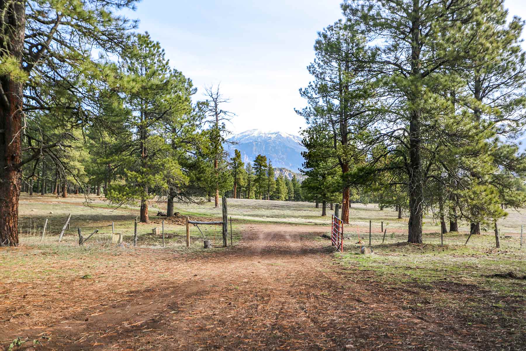 Piedra Valley Ranch property picture 43 of 59