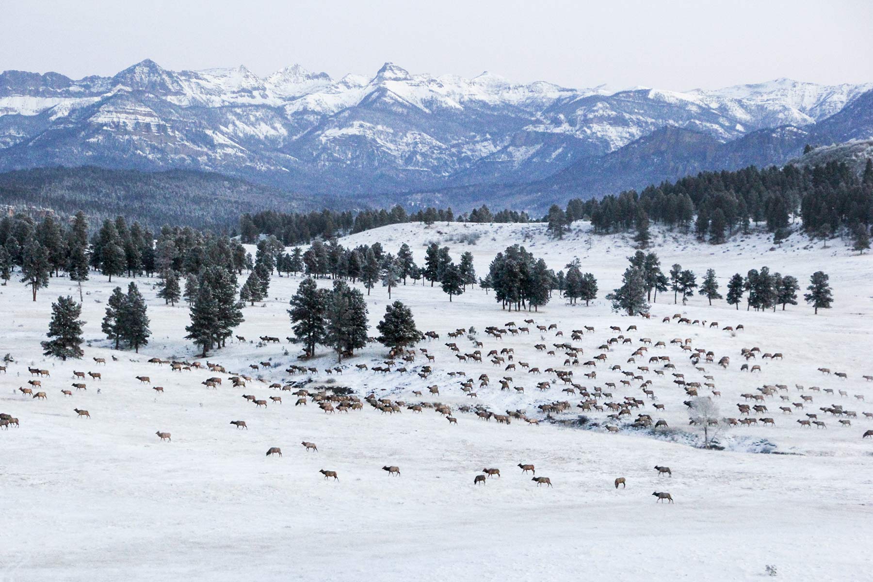 Piedra Valley Ranch property picture 12 of 59