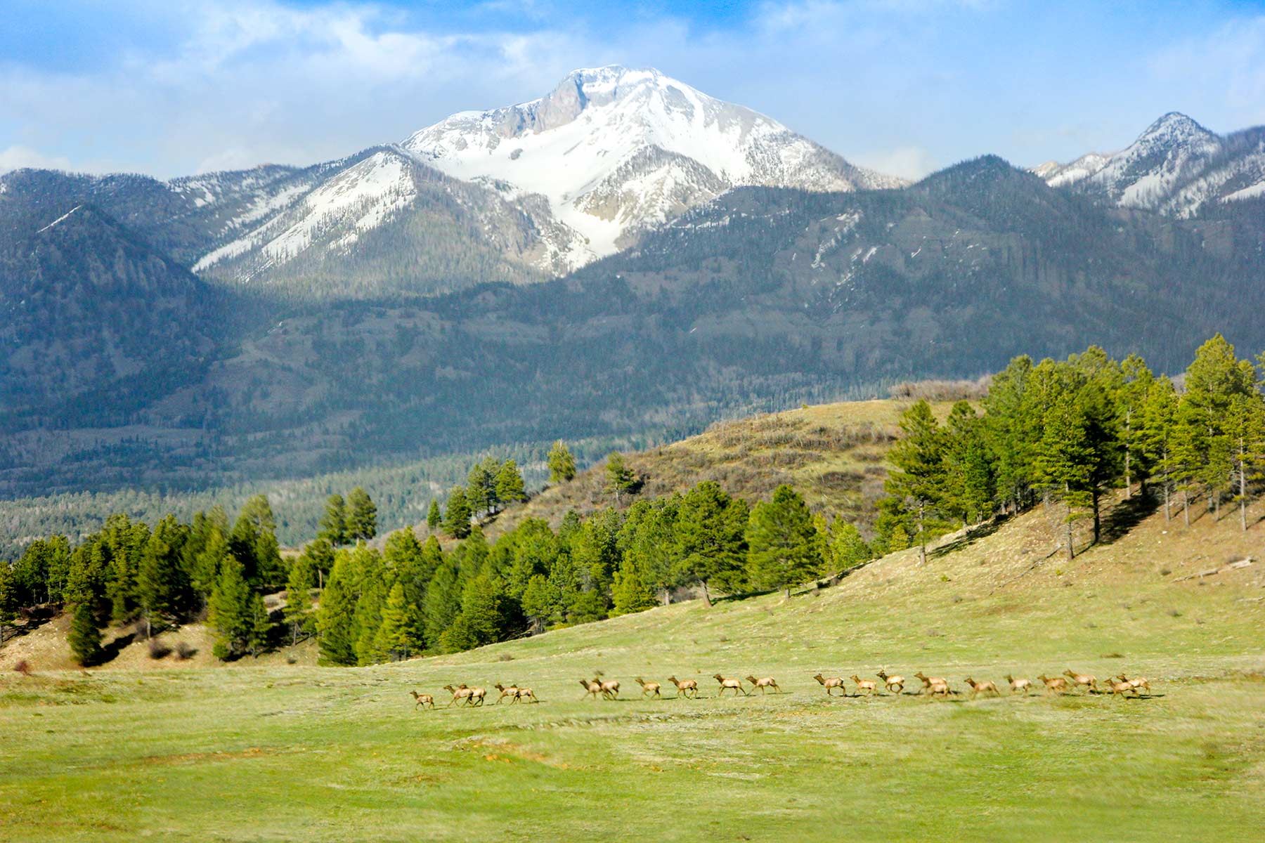 Piedra Valley Ranch property picture 34 of 59