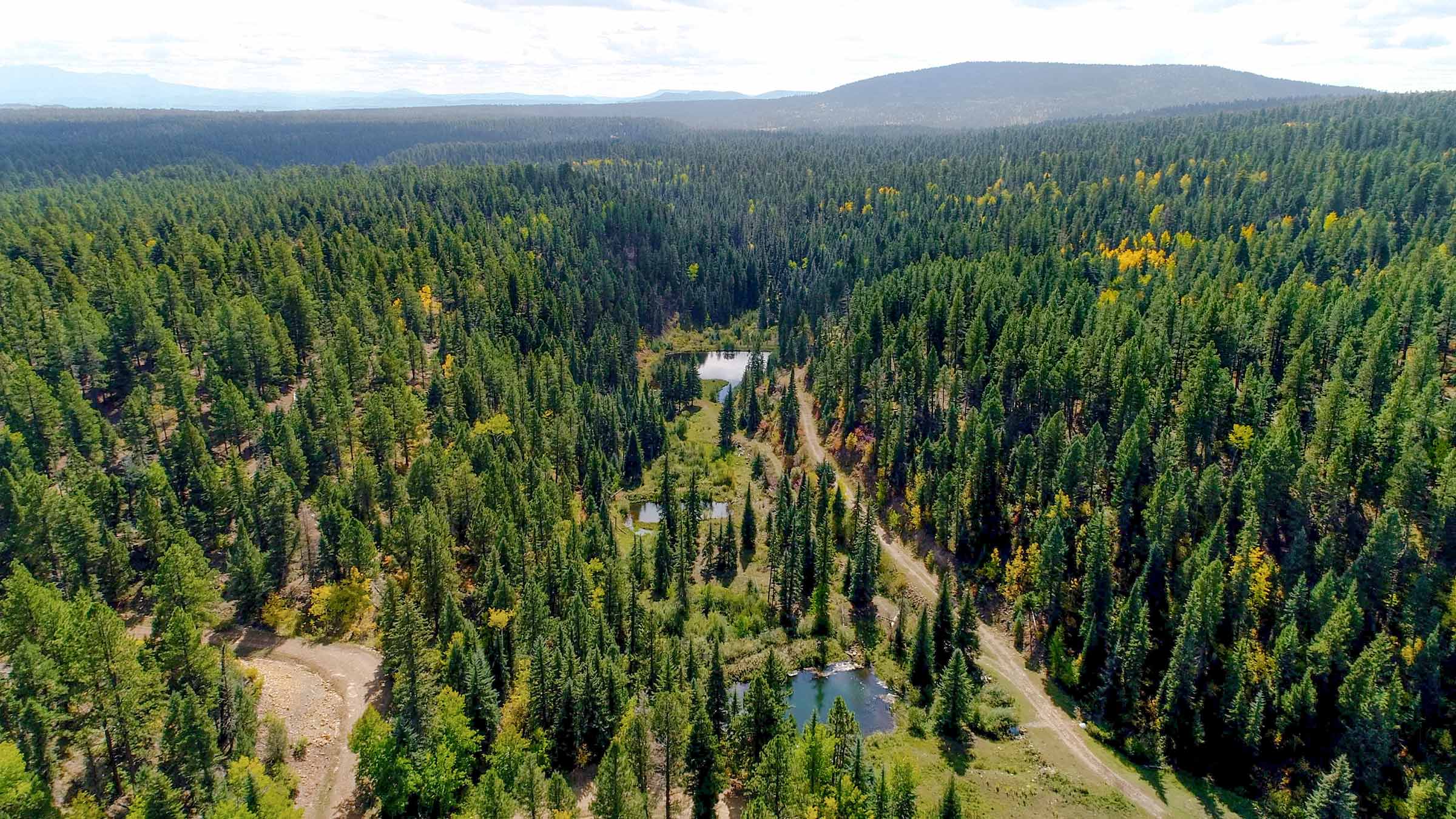 Piedra Valley Ranch property picture 50 of 59