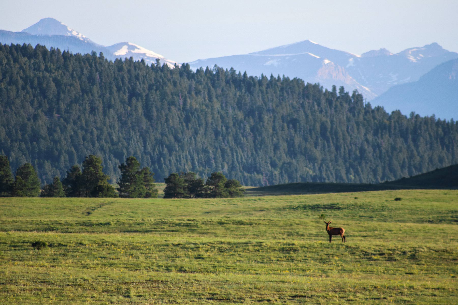 Piedra Valley Ranch property picture 32 of 59