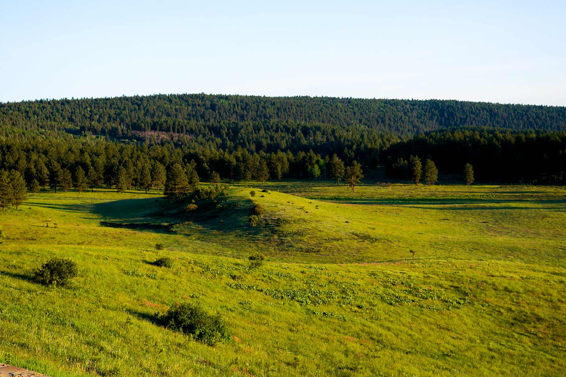 Piedra Valley Ranch property picture 29 of 59