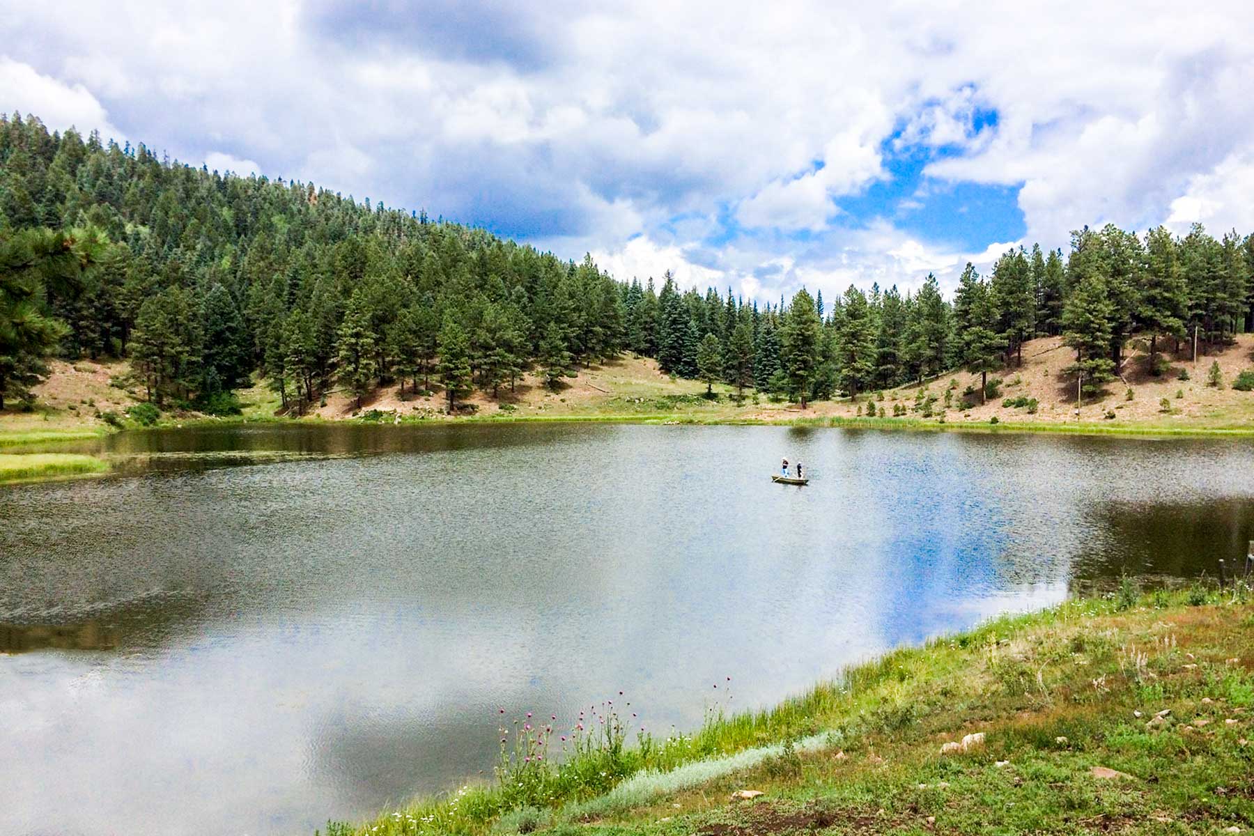 Piedra Valley Ranch property picture 38 of 59