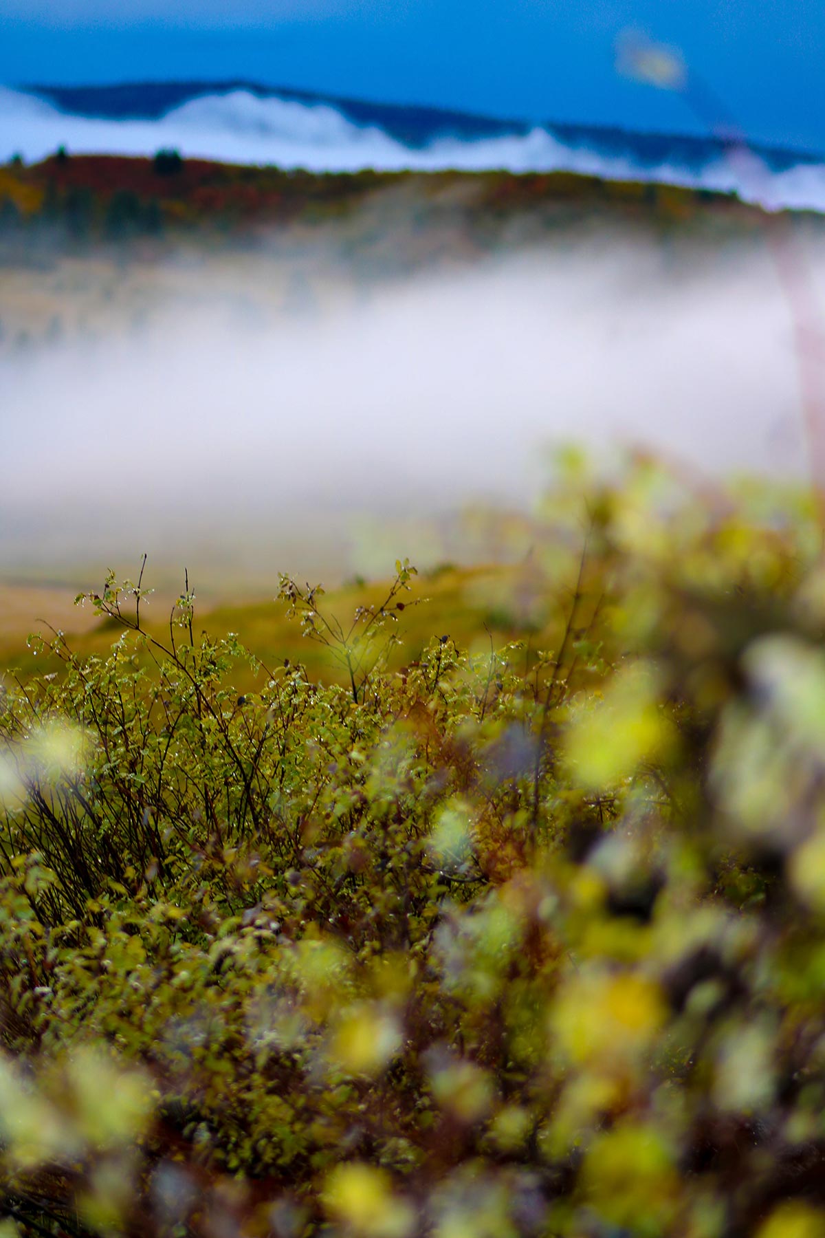 Piedra Valley Ranch property picture 49 of 59