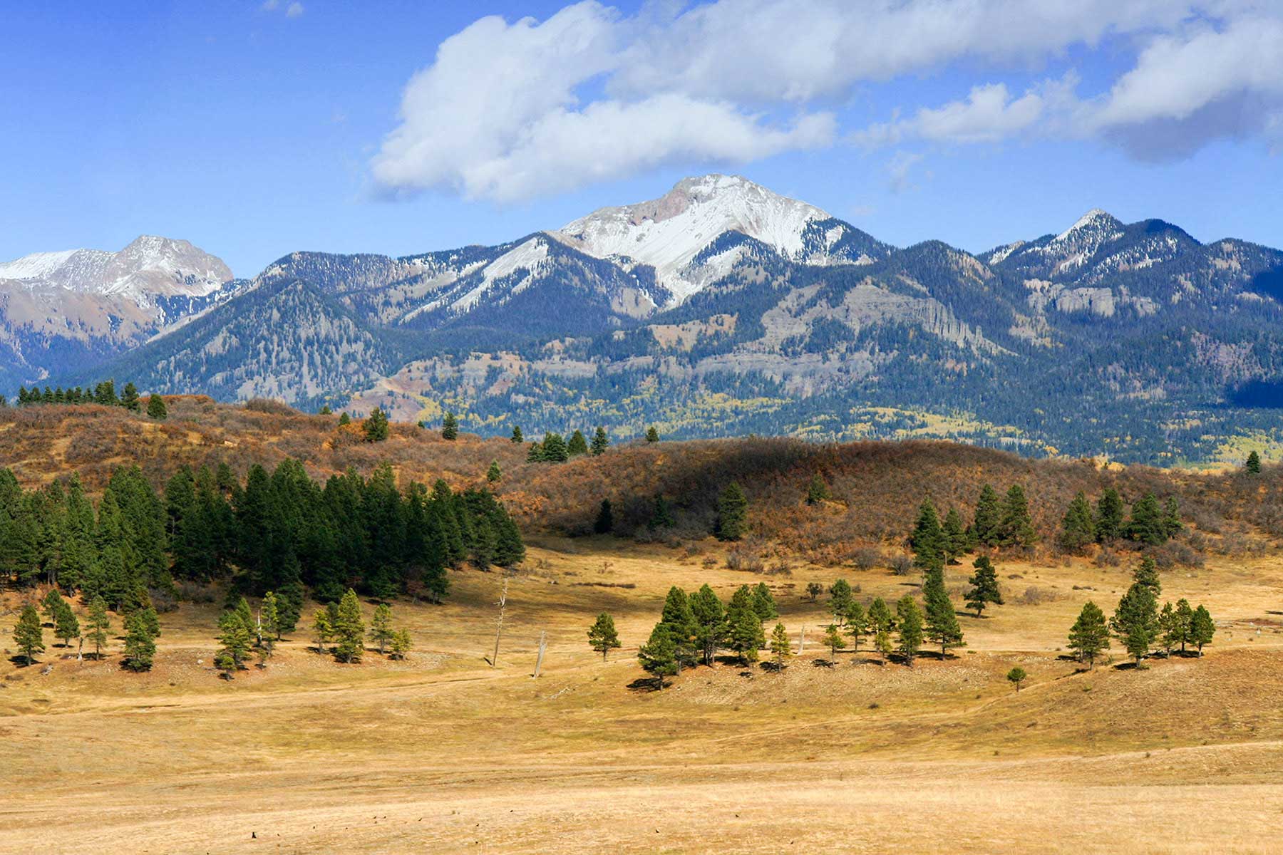 Piedra Valley Ranch property picture 56 of 59