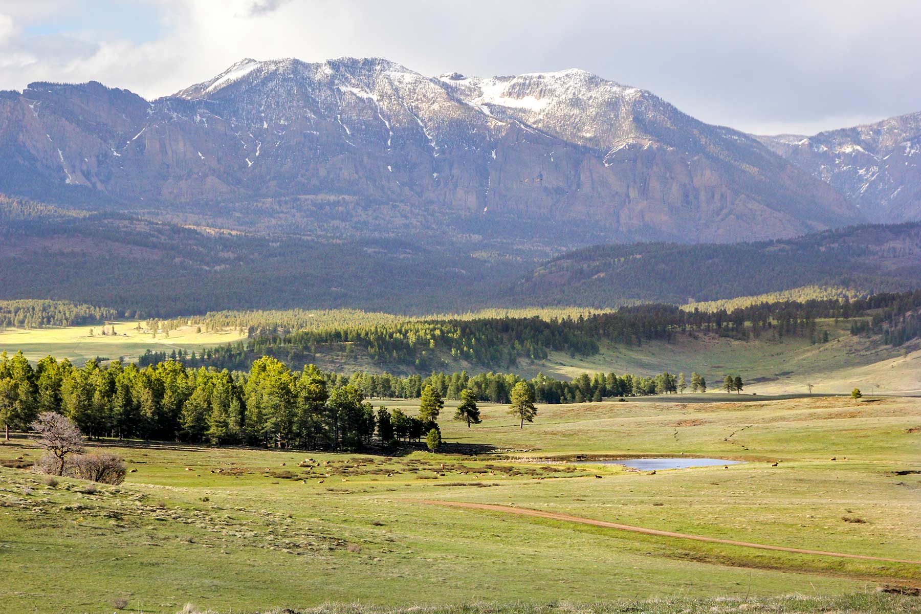 Piedra Valley Ranch property picture 7 of 59