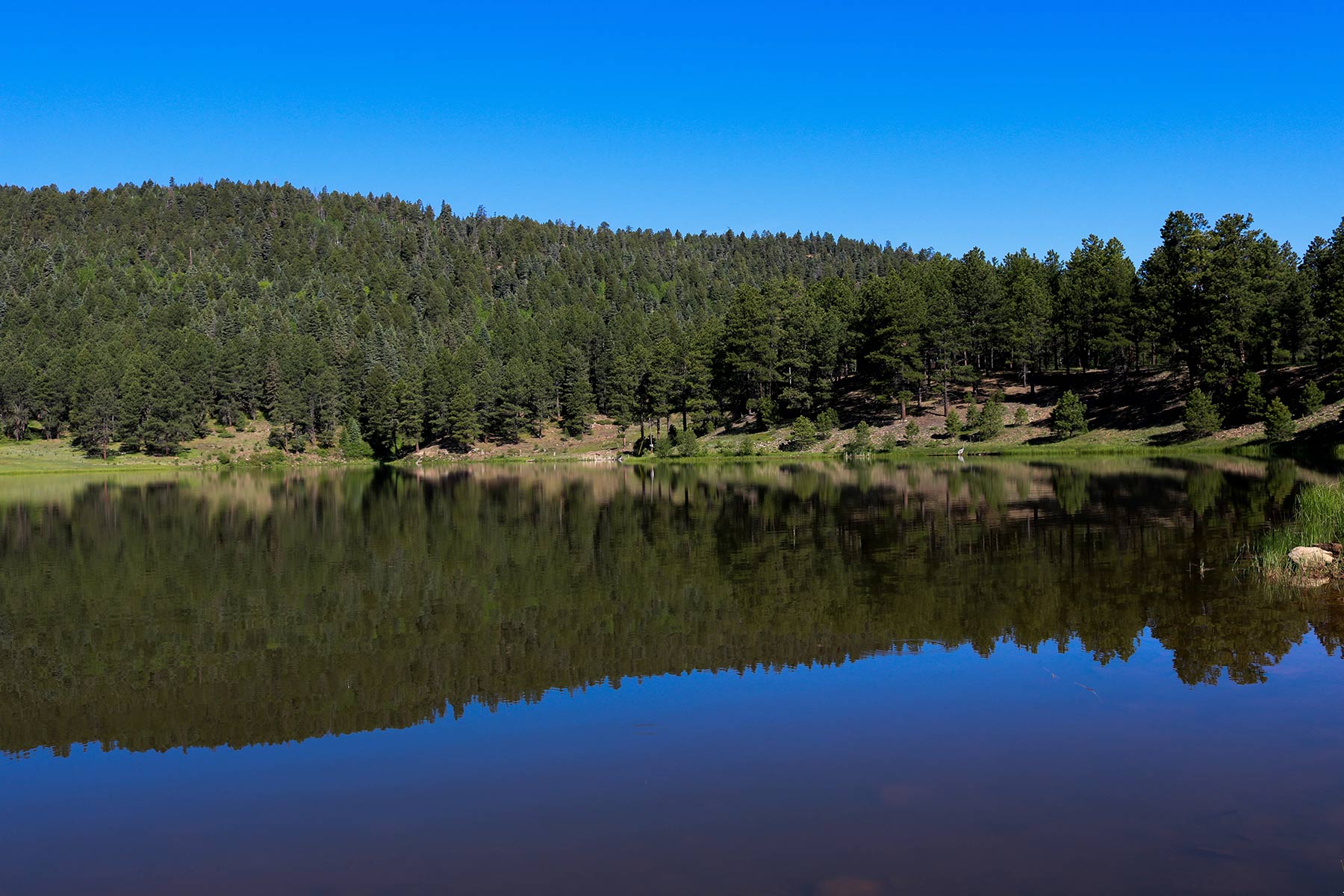 Piedra Valley Ranch property picture 22 of 59