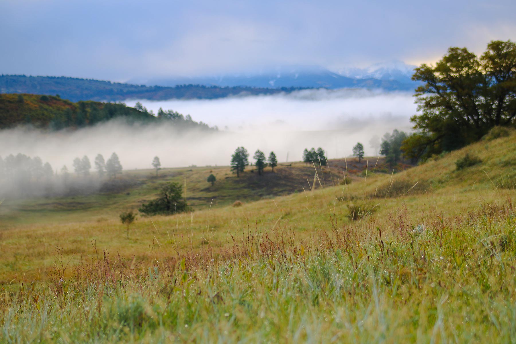 Piedra Valley Ranch property picture 54 of 59